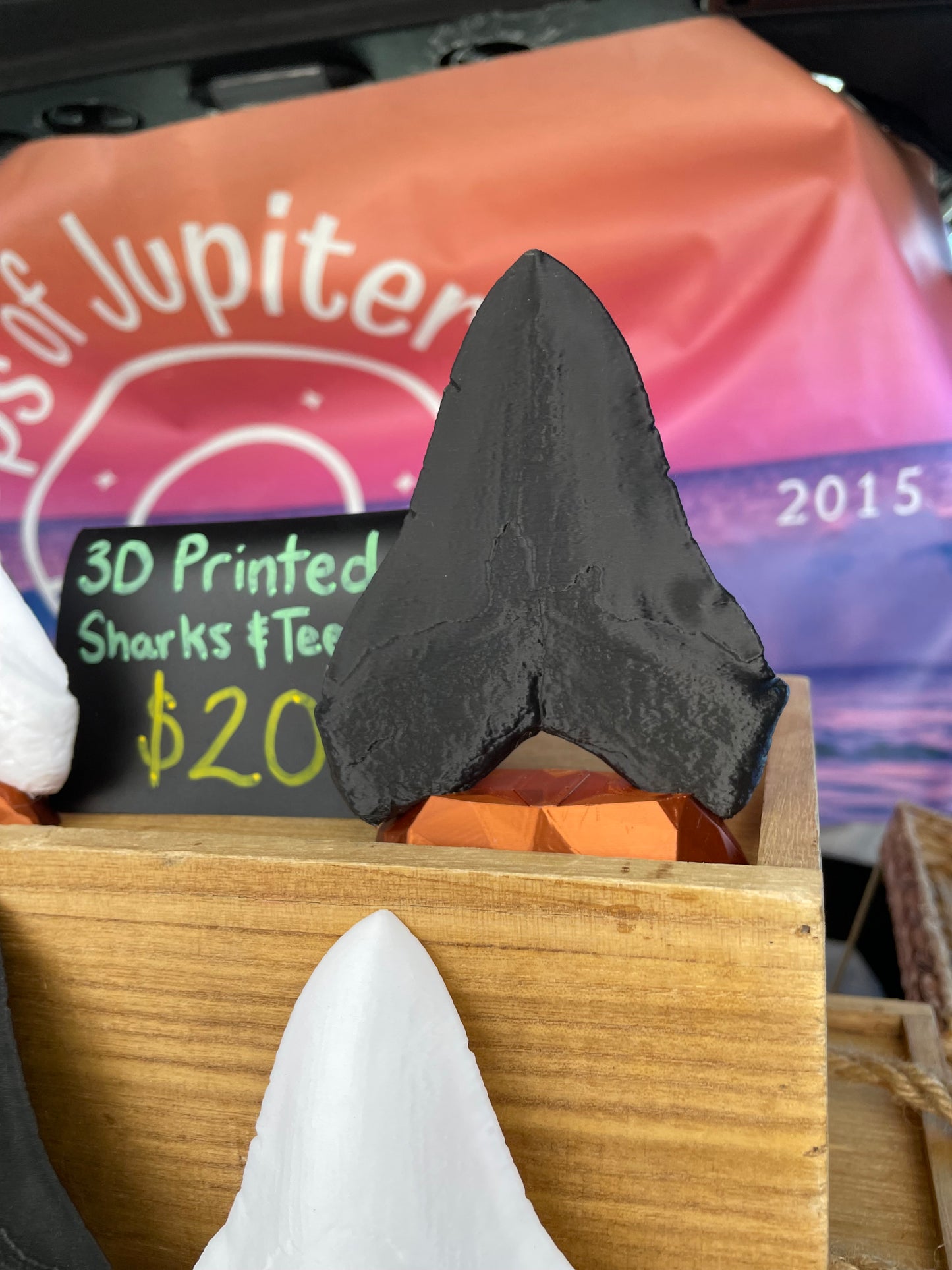 3D Printed Megalodon Shark Tooth Replica