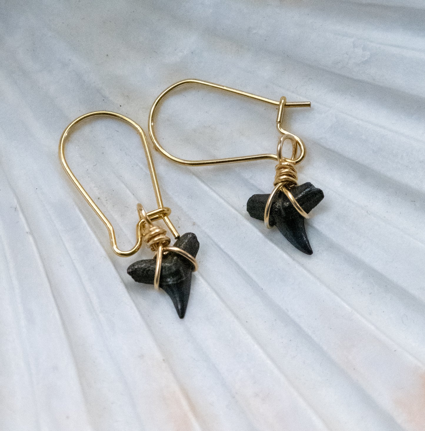 The Lost Girls Shark Tooth Earring Collection