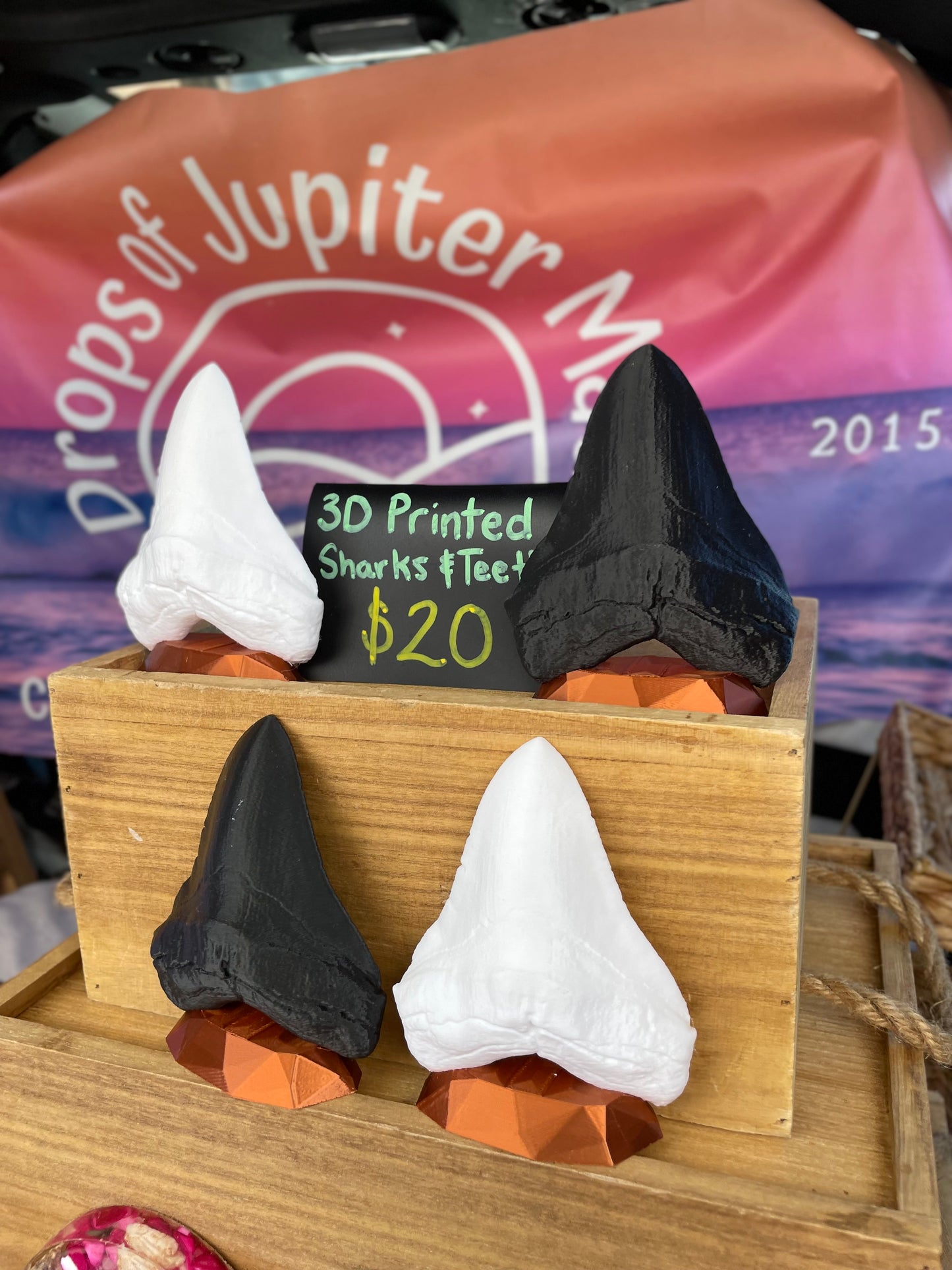 3D Printed Megalodon Shark Tooth Replica