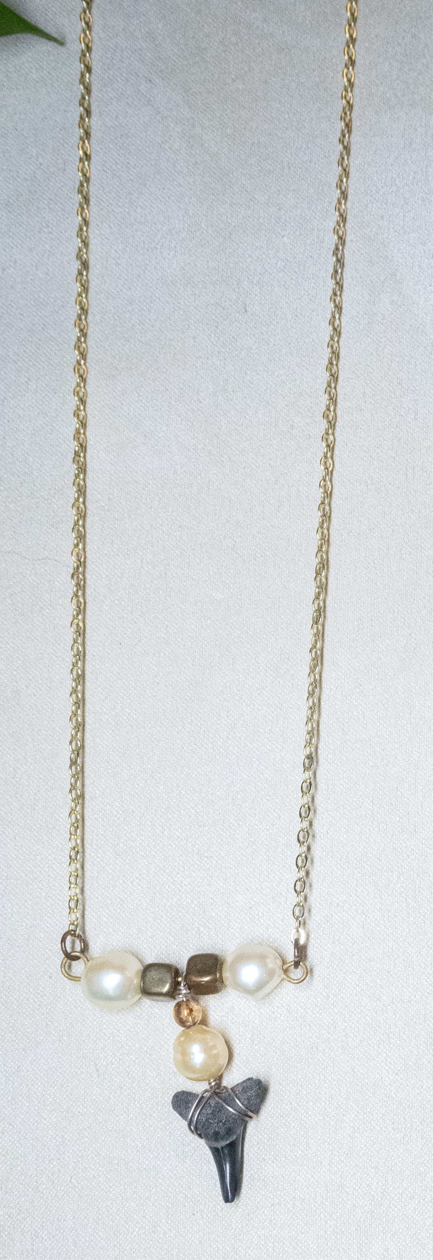 Juno Nights Shark Tooth Necklace Collection