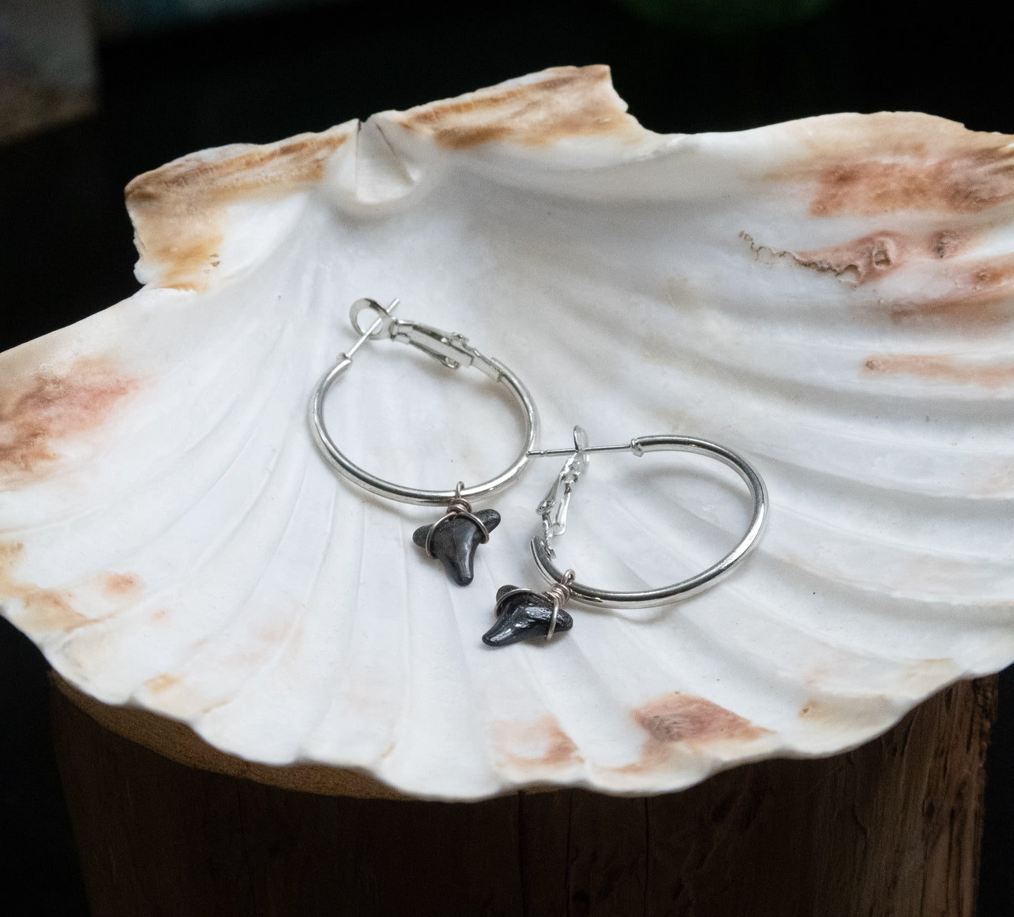The Marina Grand Shark Tooth Hoop Earring Collection