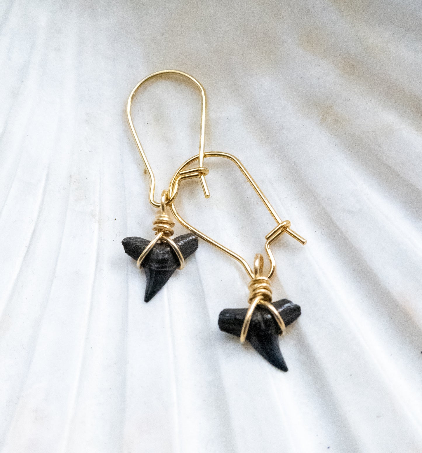 The Lost Girls Shark Tooth Earring Collection