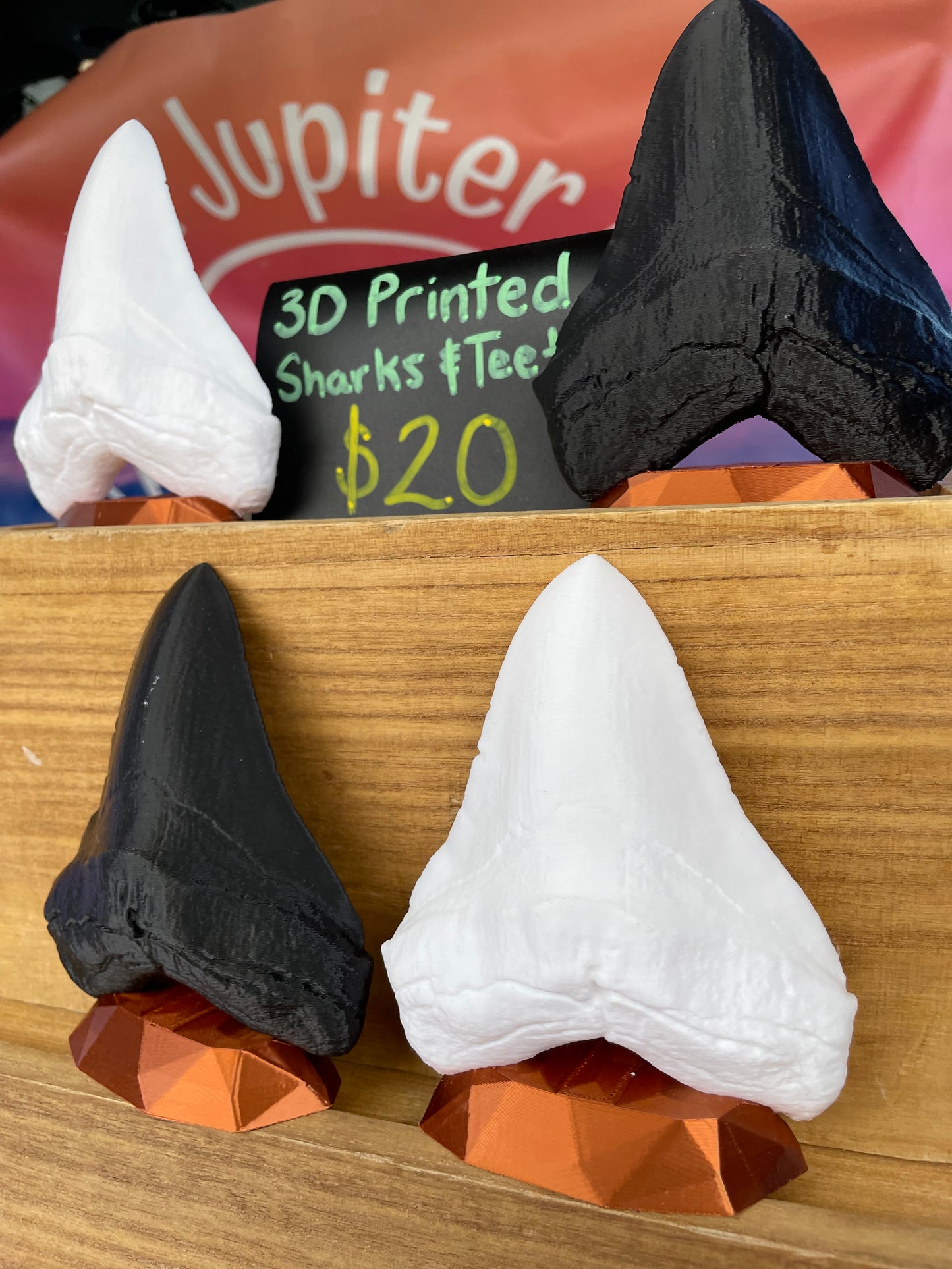 3D Printed Megalodon Shark Tooth Replica