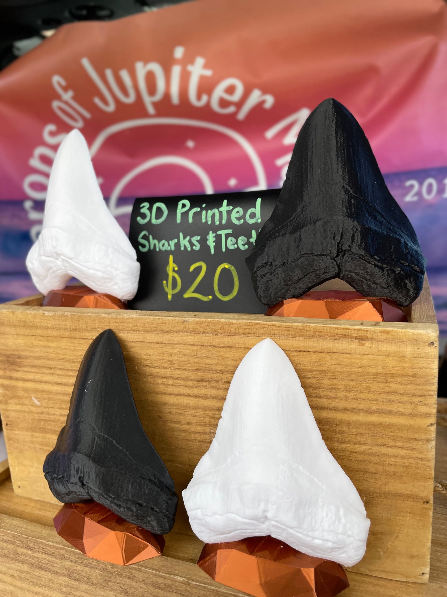 3D Printed Megalodon Shark Tooth Replica