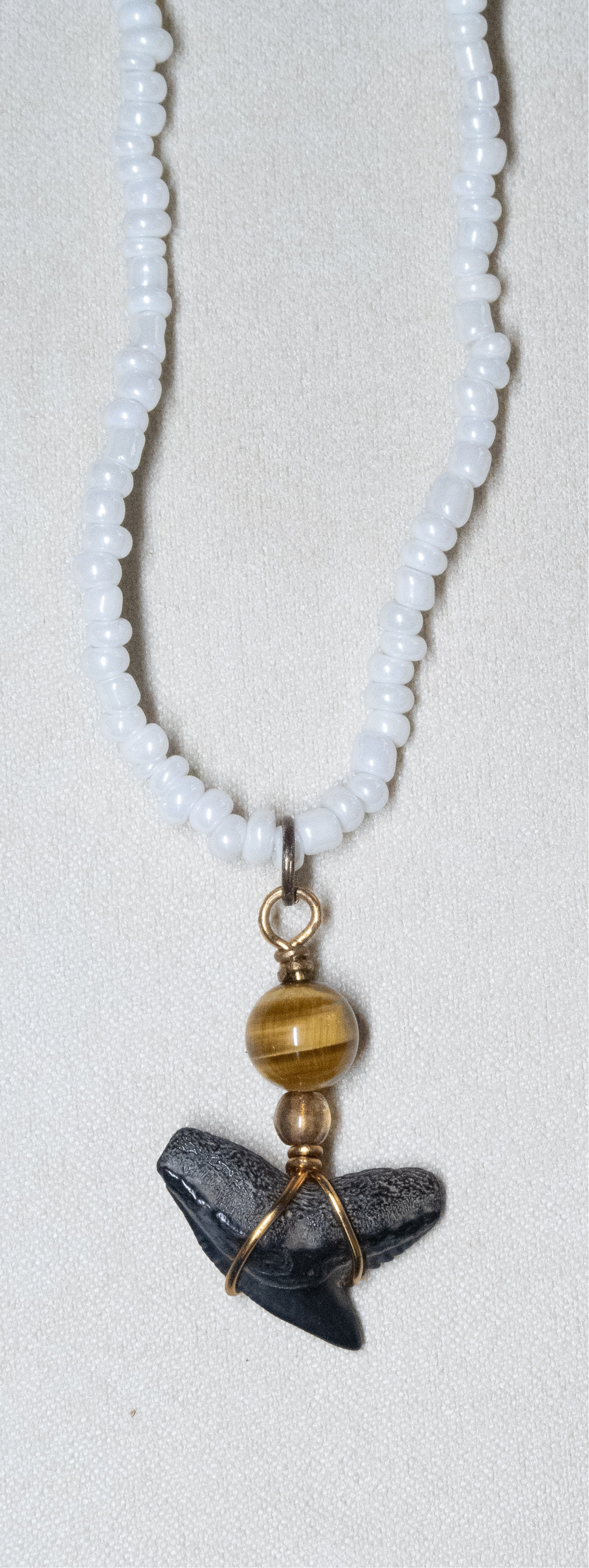 Juno Nights Shark Tooth Necklace Collection