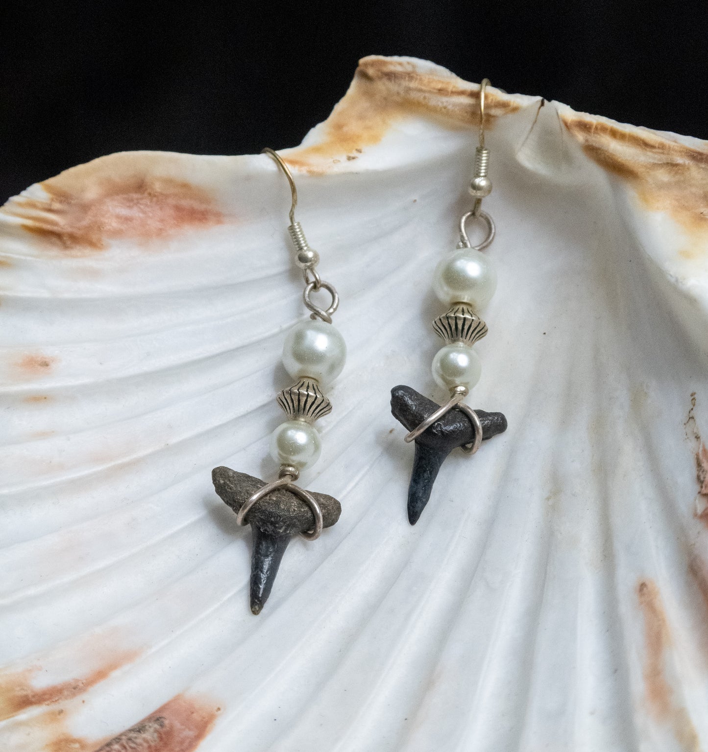 The Mermaid Shark Tooth Collection