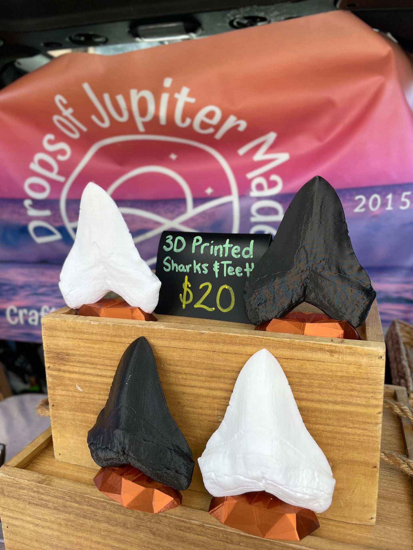 3D Printed Megalodon Shark Tooth Replica