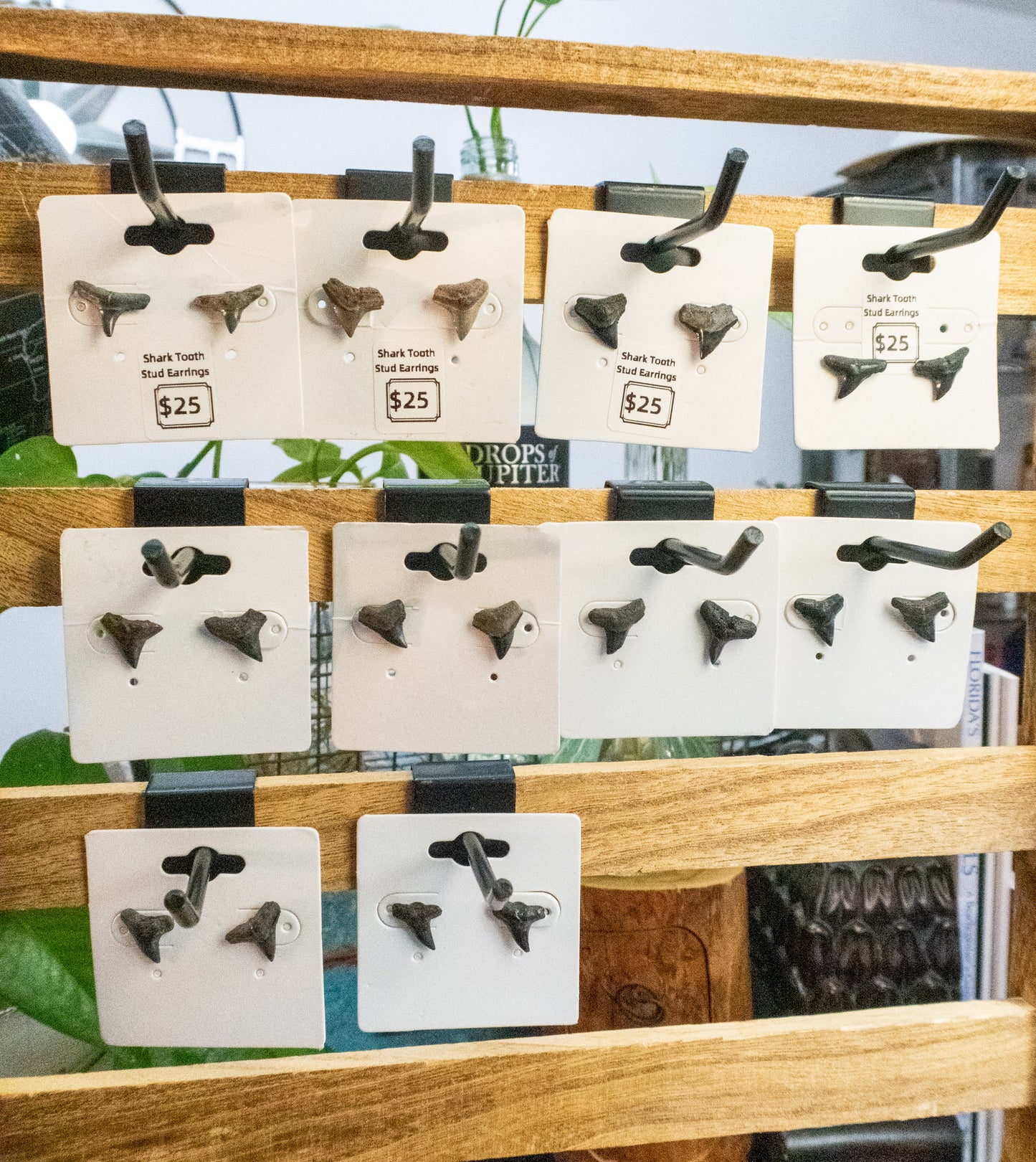 Shark Tooth Stud Earrings