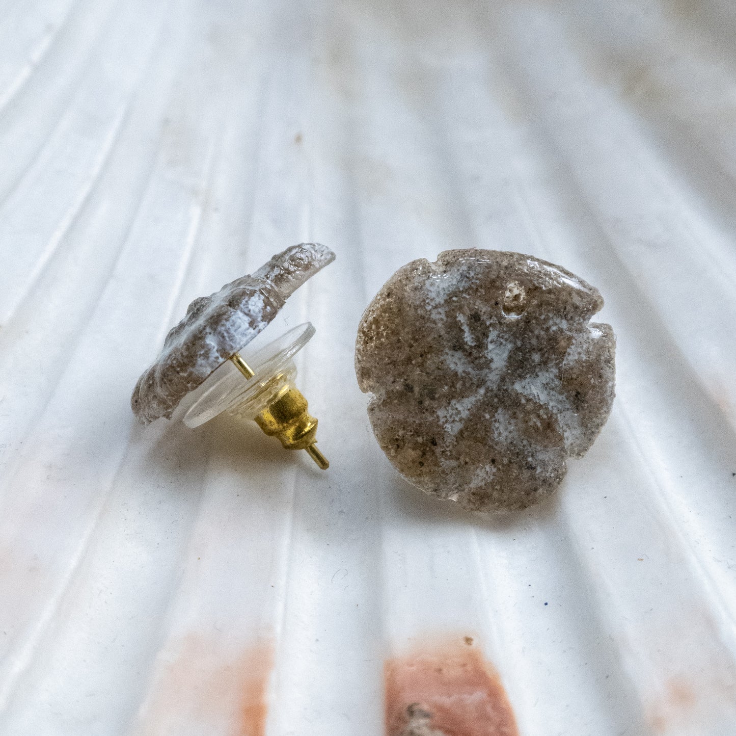 Sandy Dollar Stud Earrings