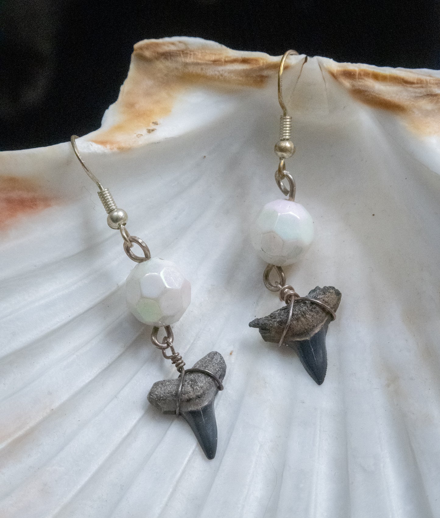The Disco Diver Shark Tooth Earring Collection