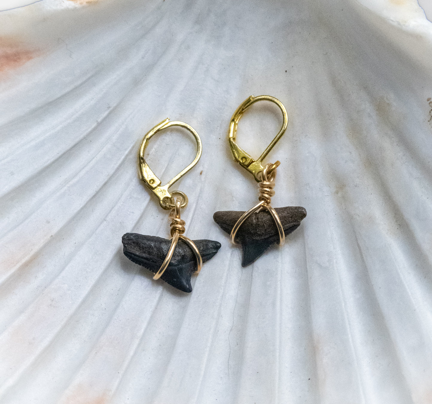 The Calypso Shark Tooth Clasp Earring