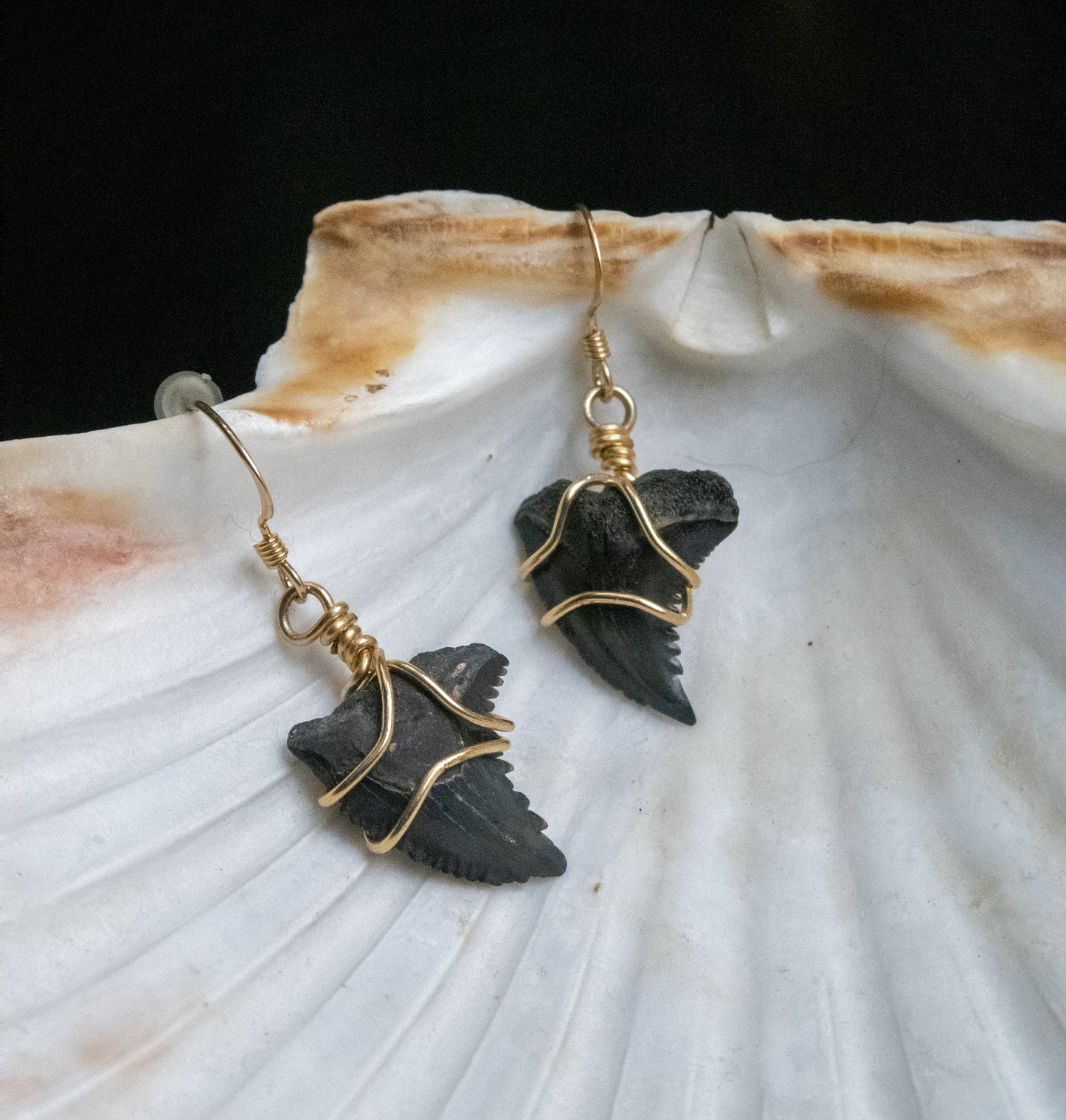 Snaggle Tooth Earrings