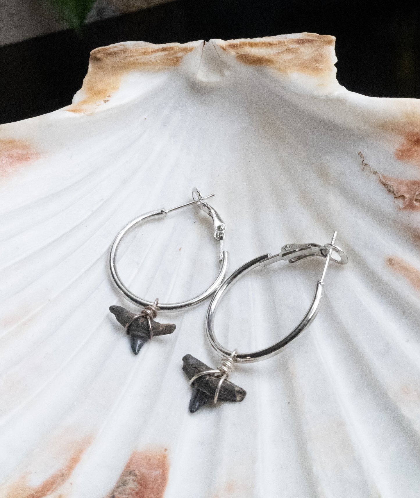 The Marina Grand Shark Tooth Hoop Earring Collection