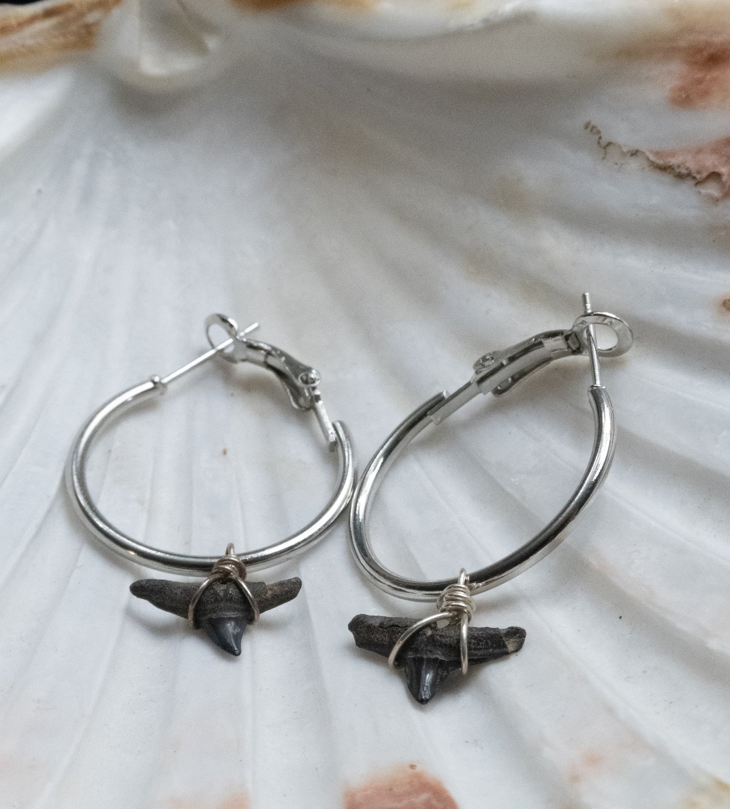 The Marina Grand Shark Tooth Hoop Earring Collection