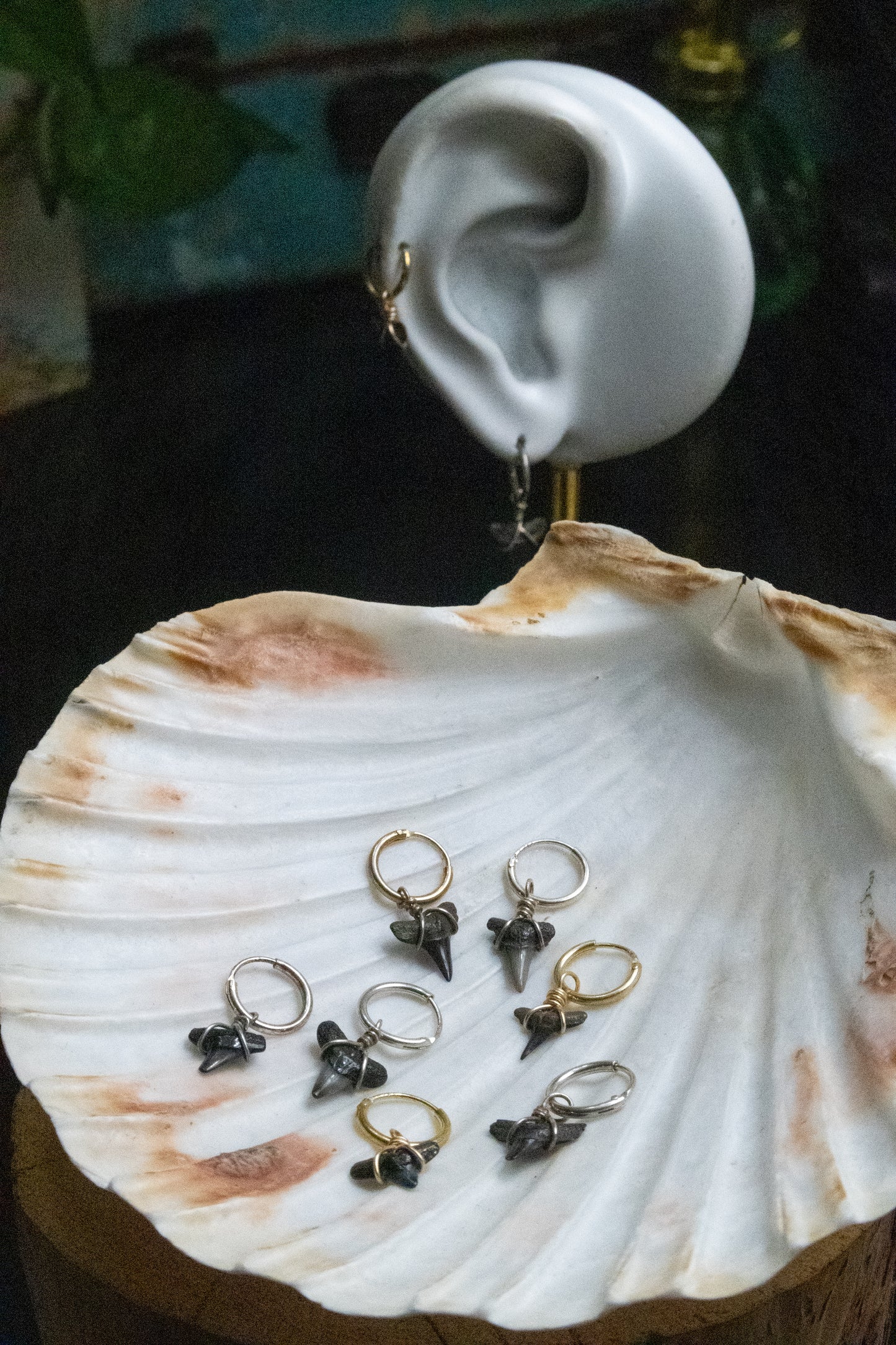 Mini Shark Tooth Cartilage Hoop
