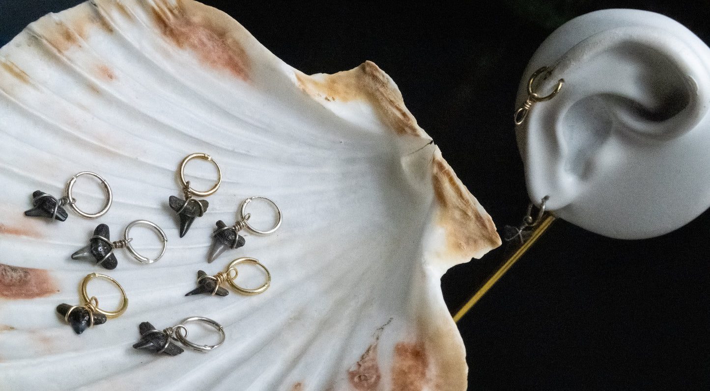 Mini Shark Tooth Cartilage Hoop