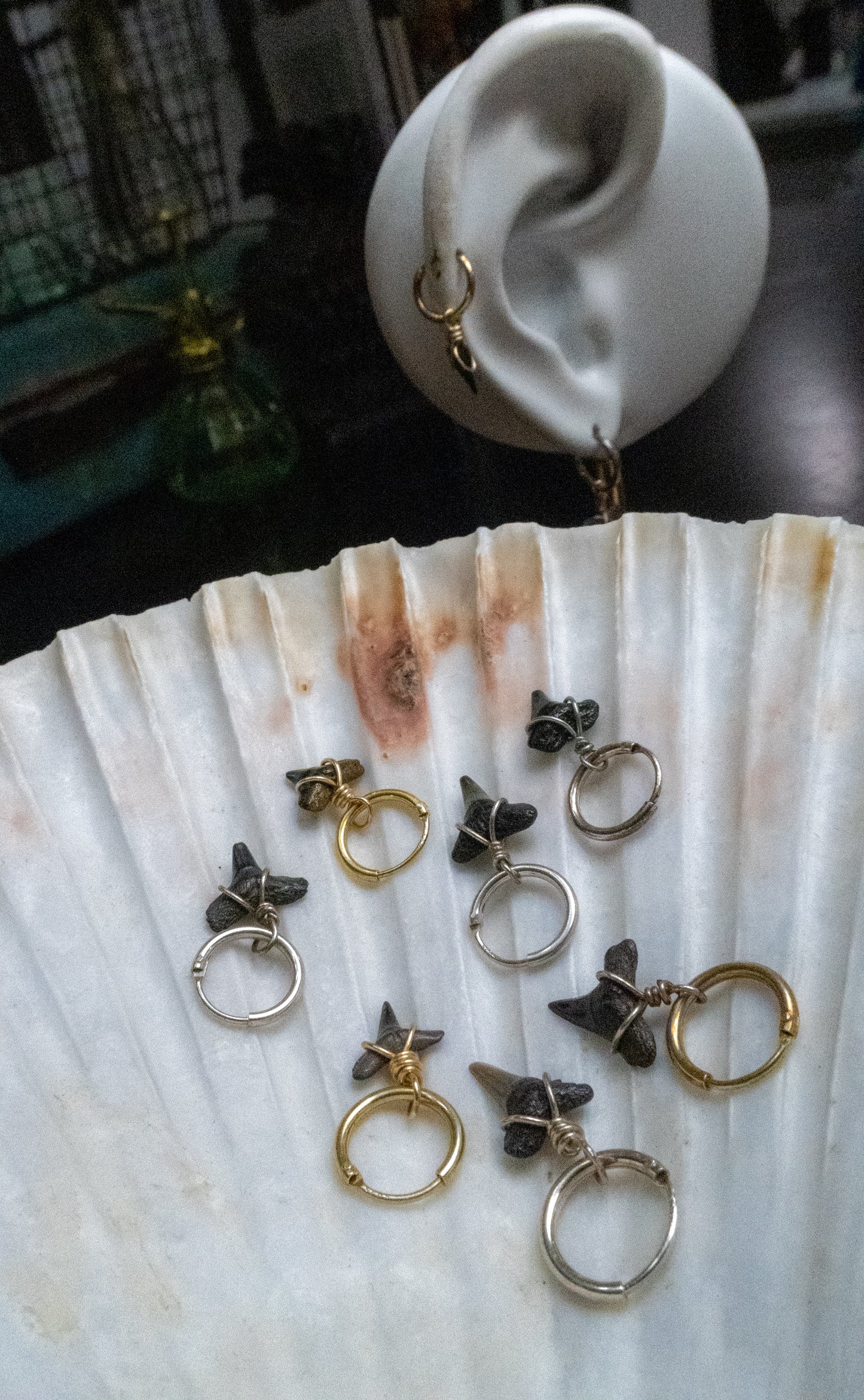 Mini Shark Tooth Cartilage Hoop