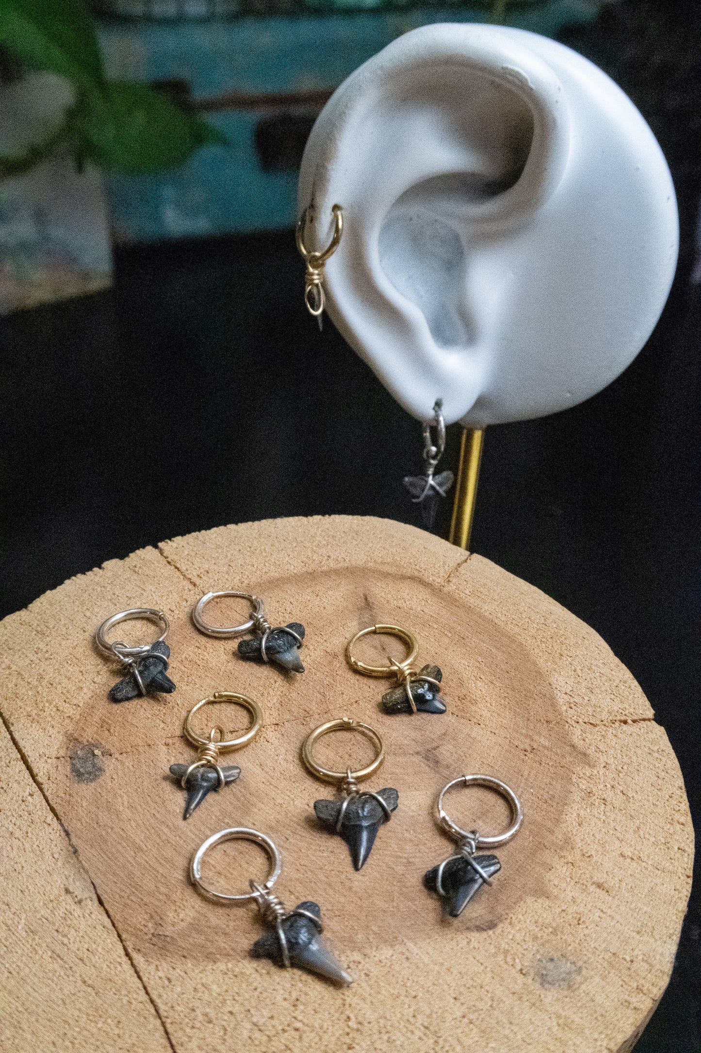 Mini Shark Tooth Cartilage Hoop