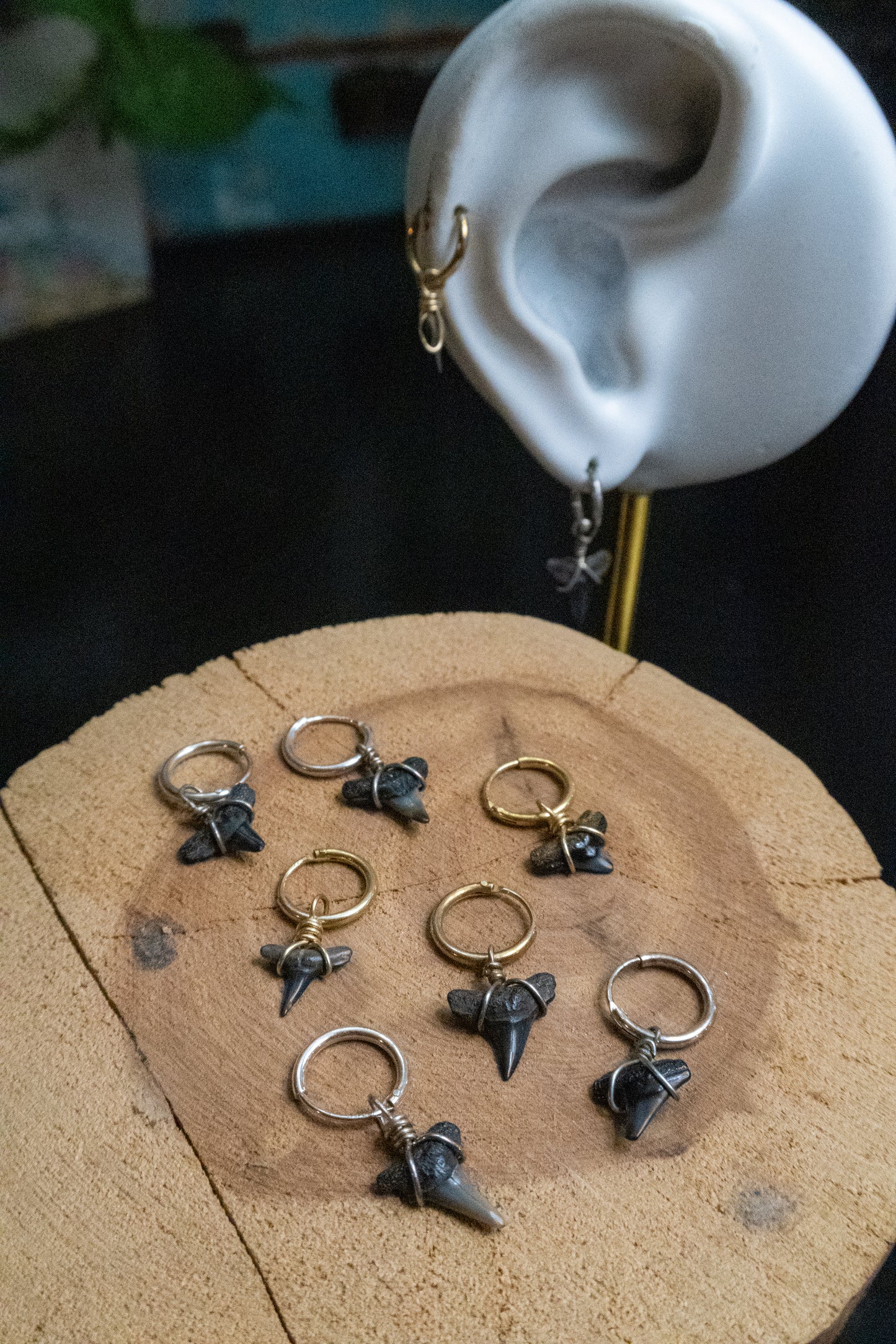Mini Shark Tooth Cartilage Hoop