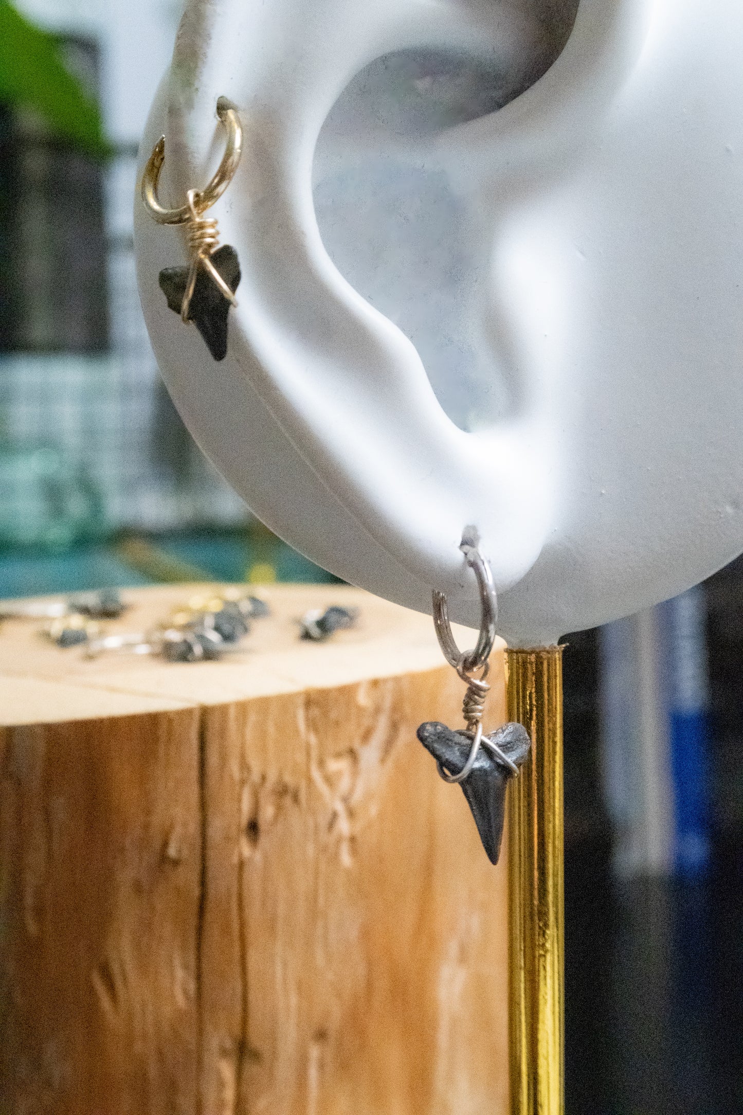 Mini Shark Tooth Cartilage Hoop