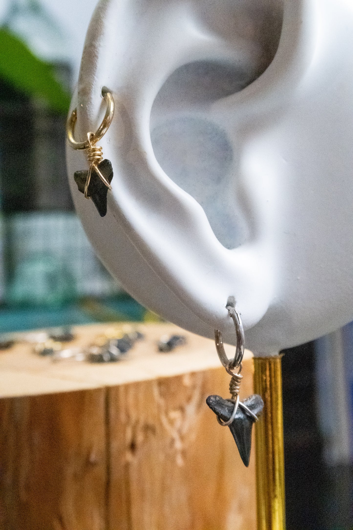 Mini Shark Tooth Cartilage Hoop