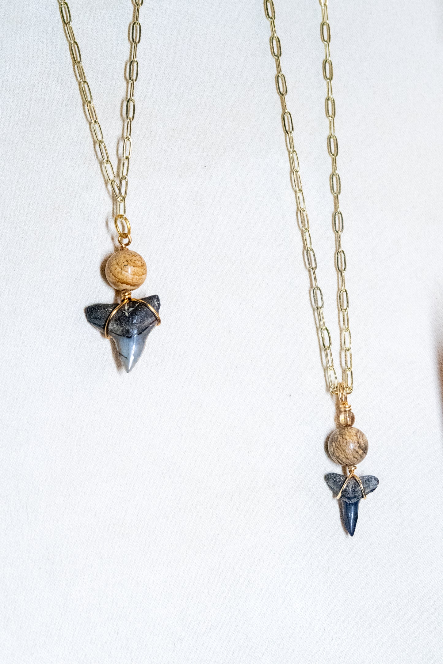 Jupiter Gem Shark Tooth Necklace Collection