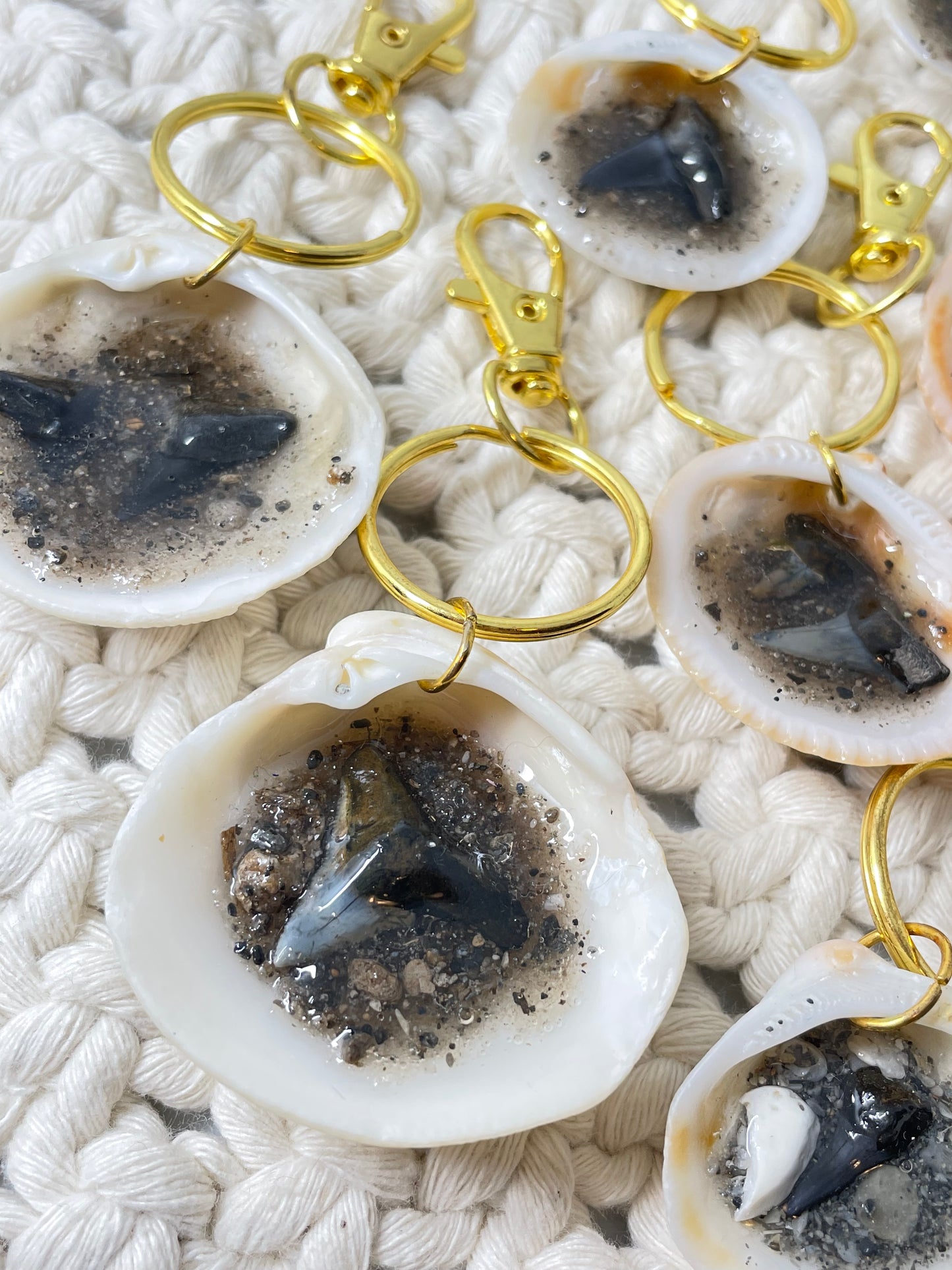 Juno Beach Shark Teeth | Sand & Seachain