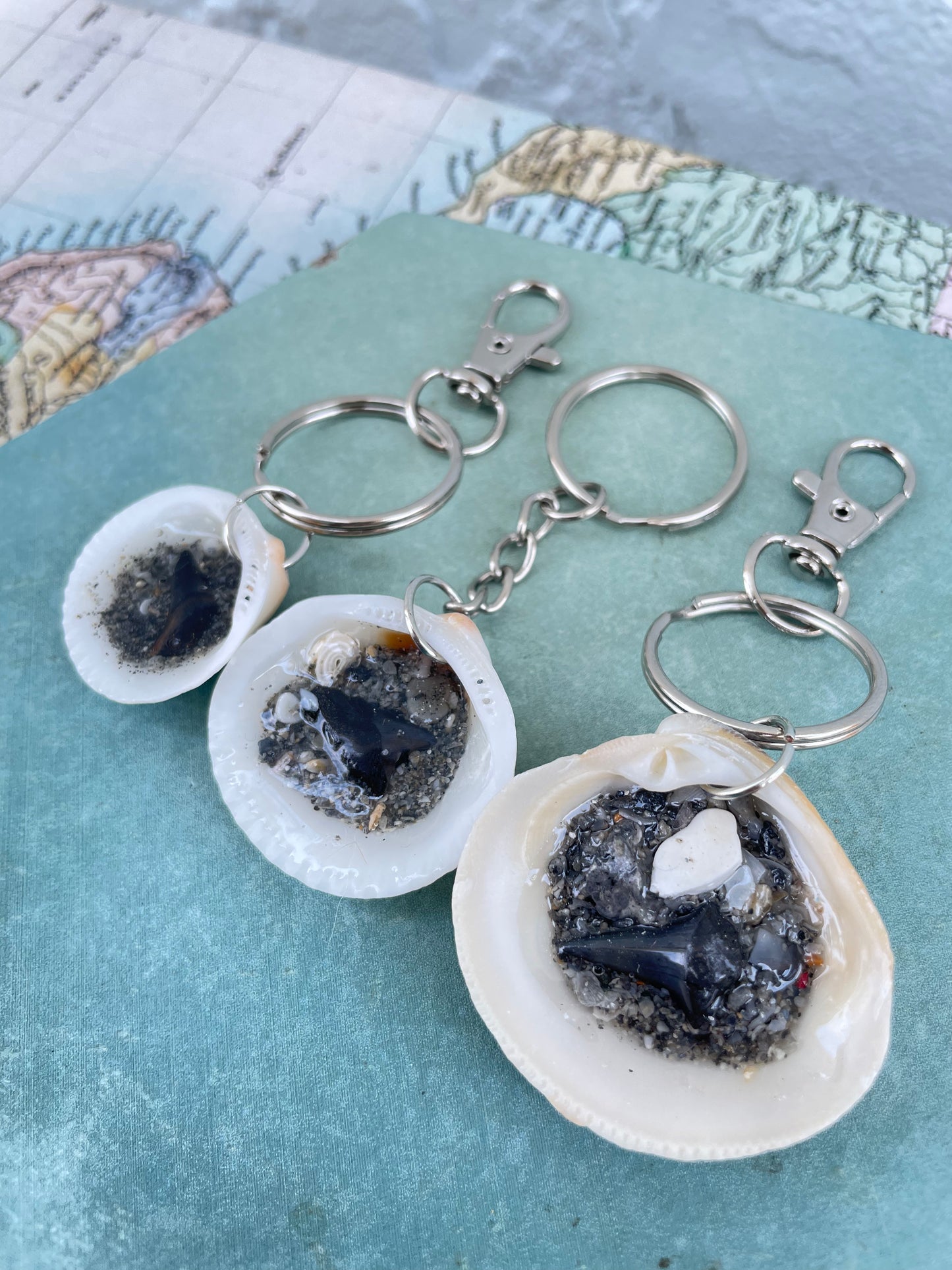Juno Beach Shark Teeth | Sand & Seachain