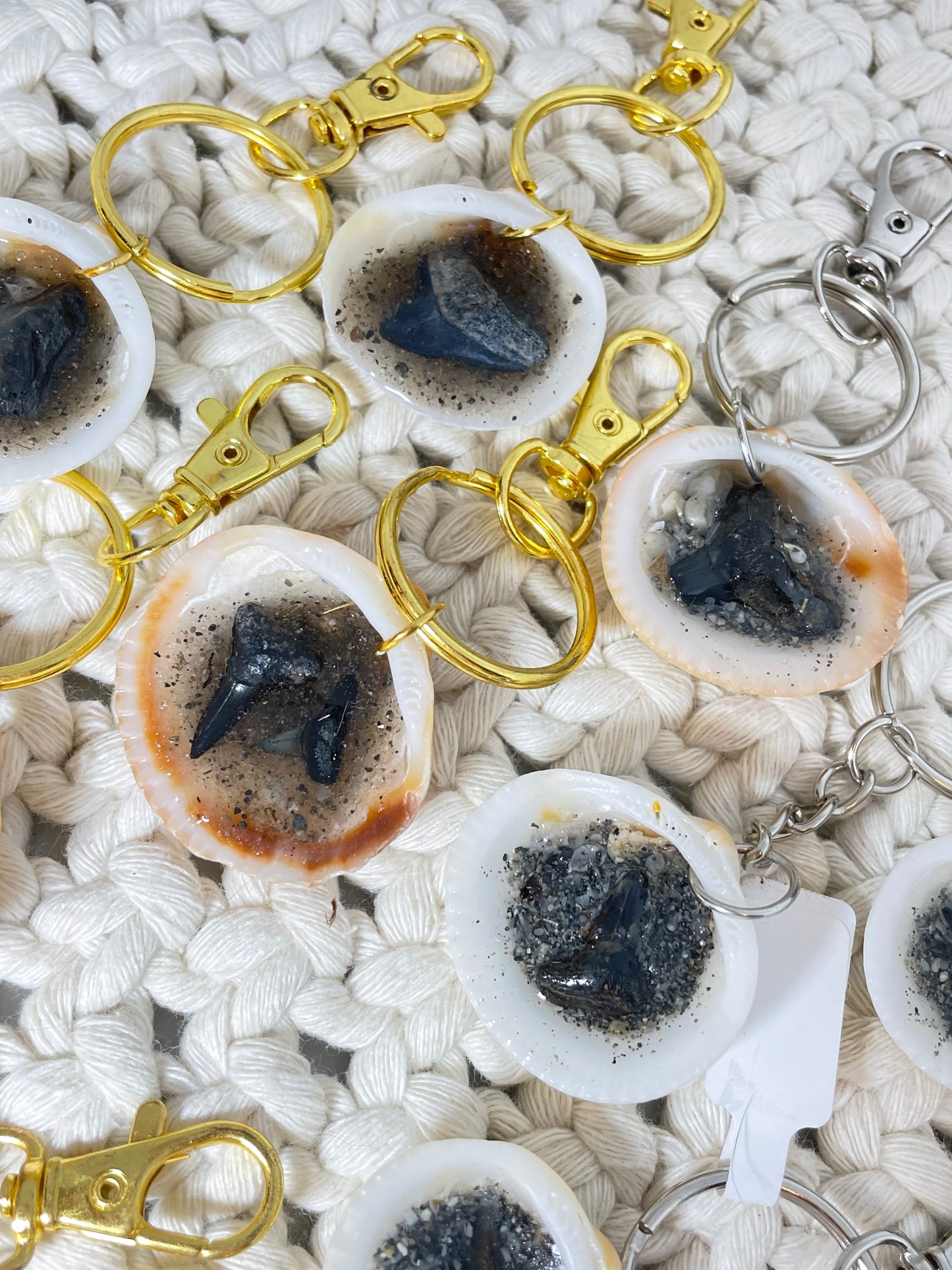 Juno Beach Shark Teeth | Sand & Seachain