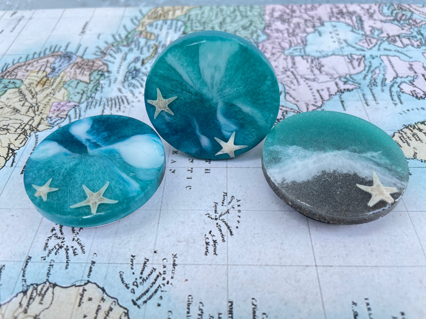 Starfish Cove Pop Socket Collection