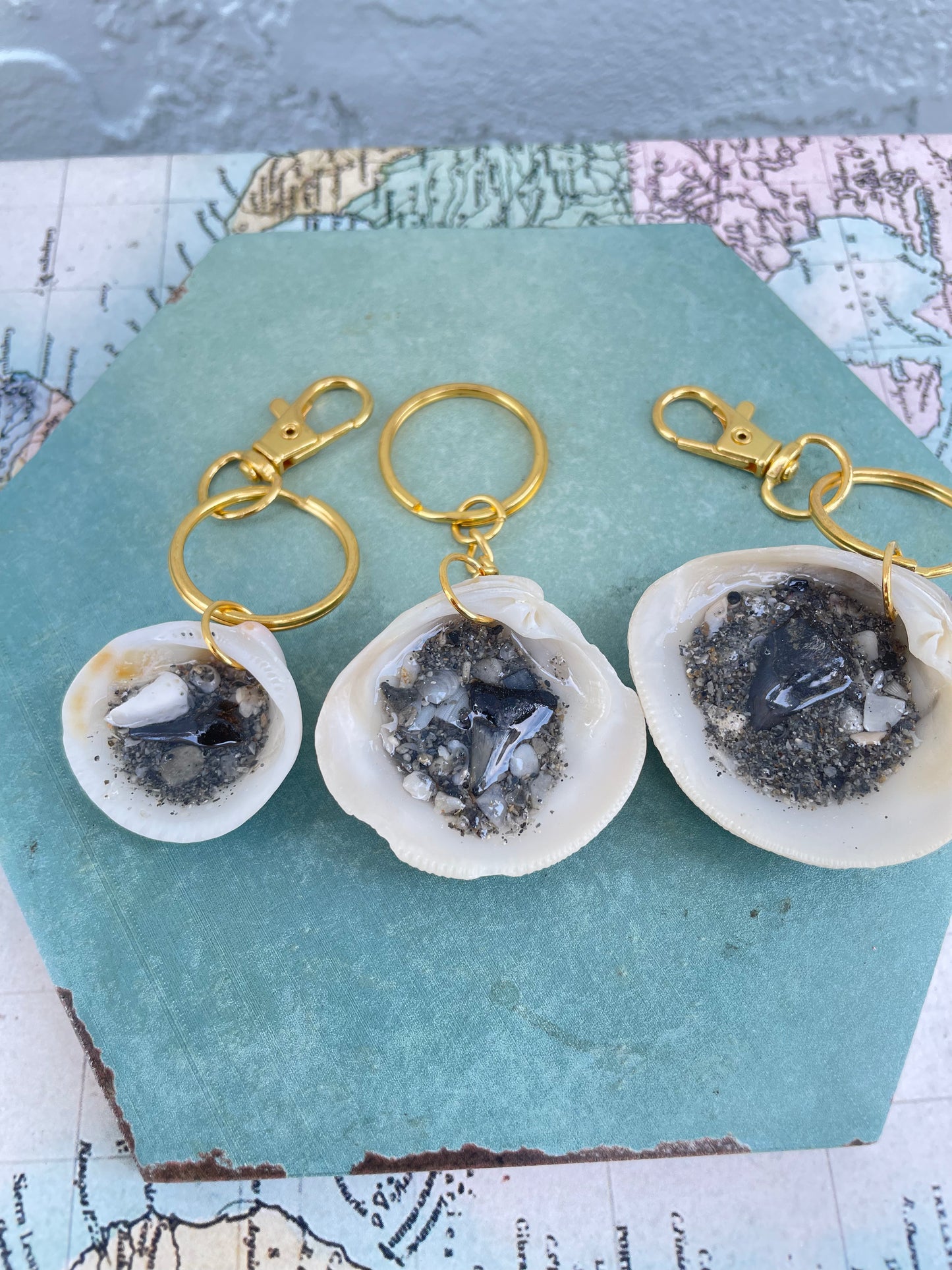 Juno Beach Shark Teeth | Sand & Seachain