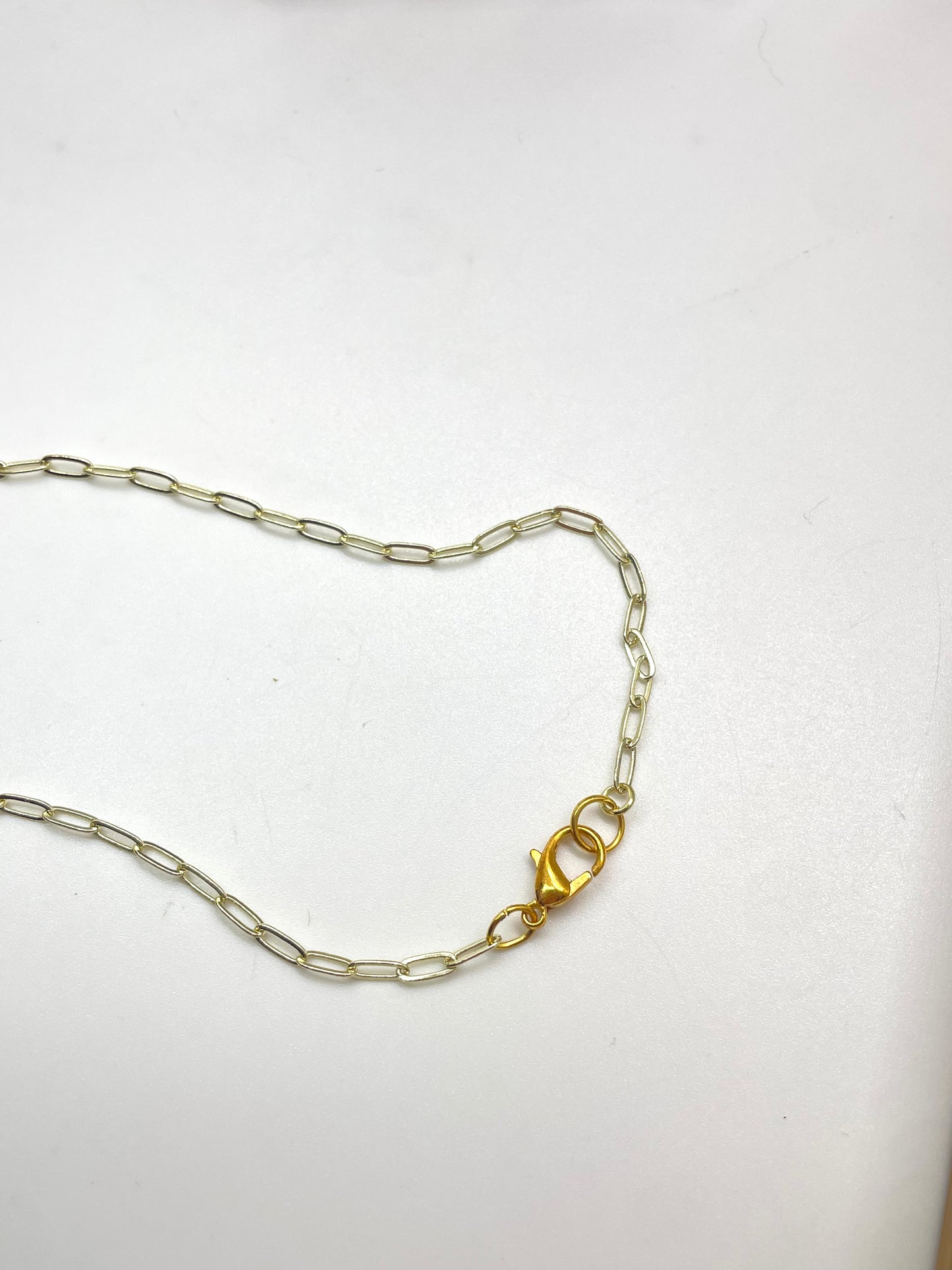 Bull Shark | Gold Filled Paperclip Chain
