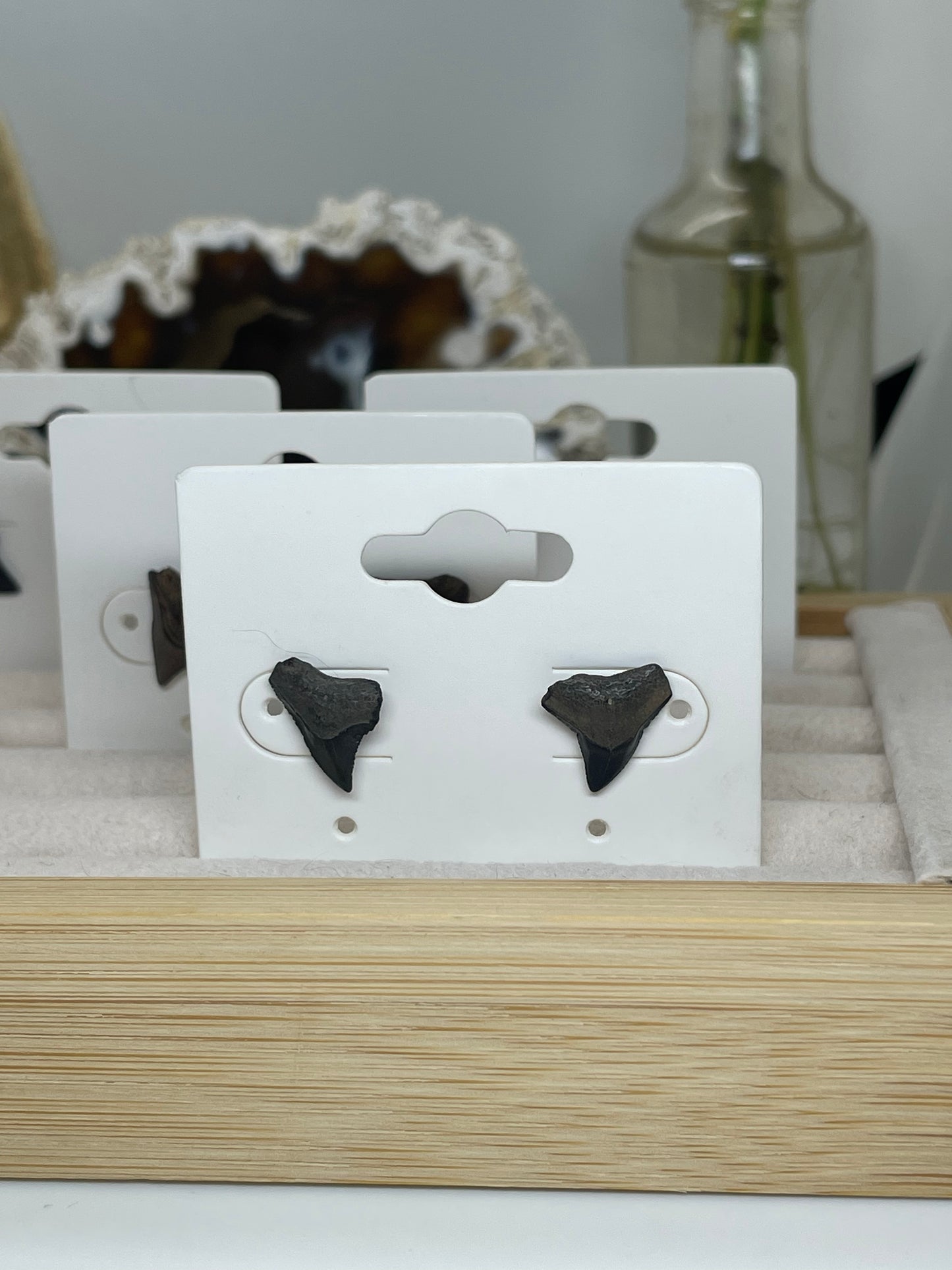 Shark Tooth Stud Earrings
