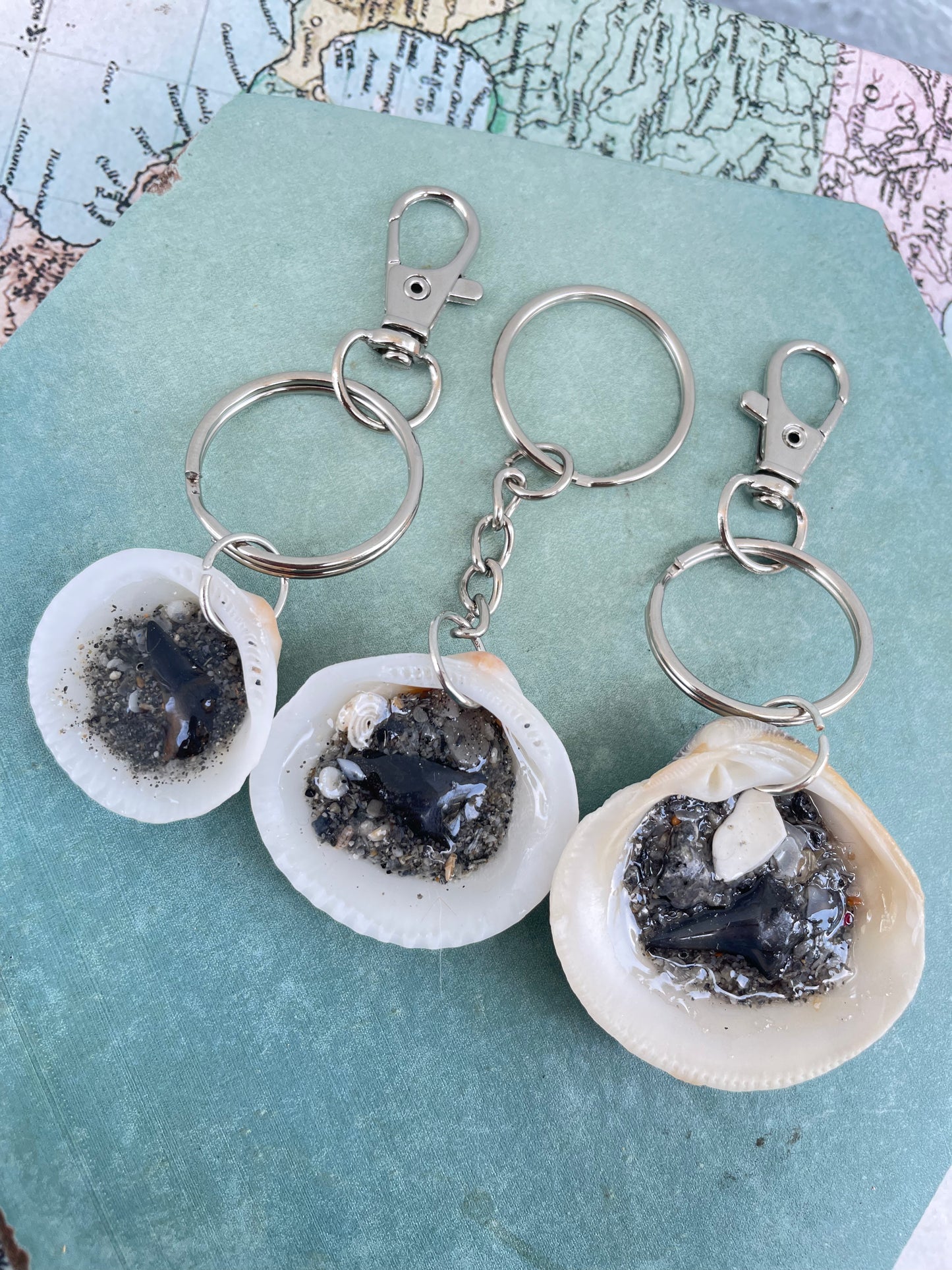 Juno Beach Shark Teeth | Sand & Seachain