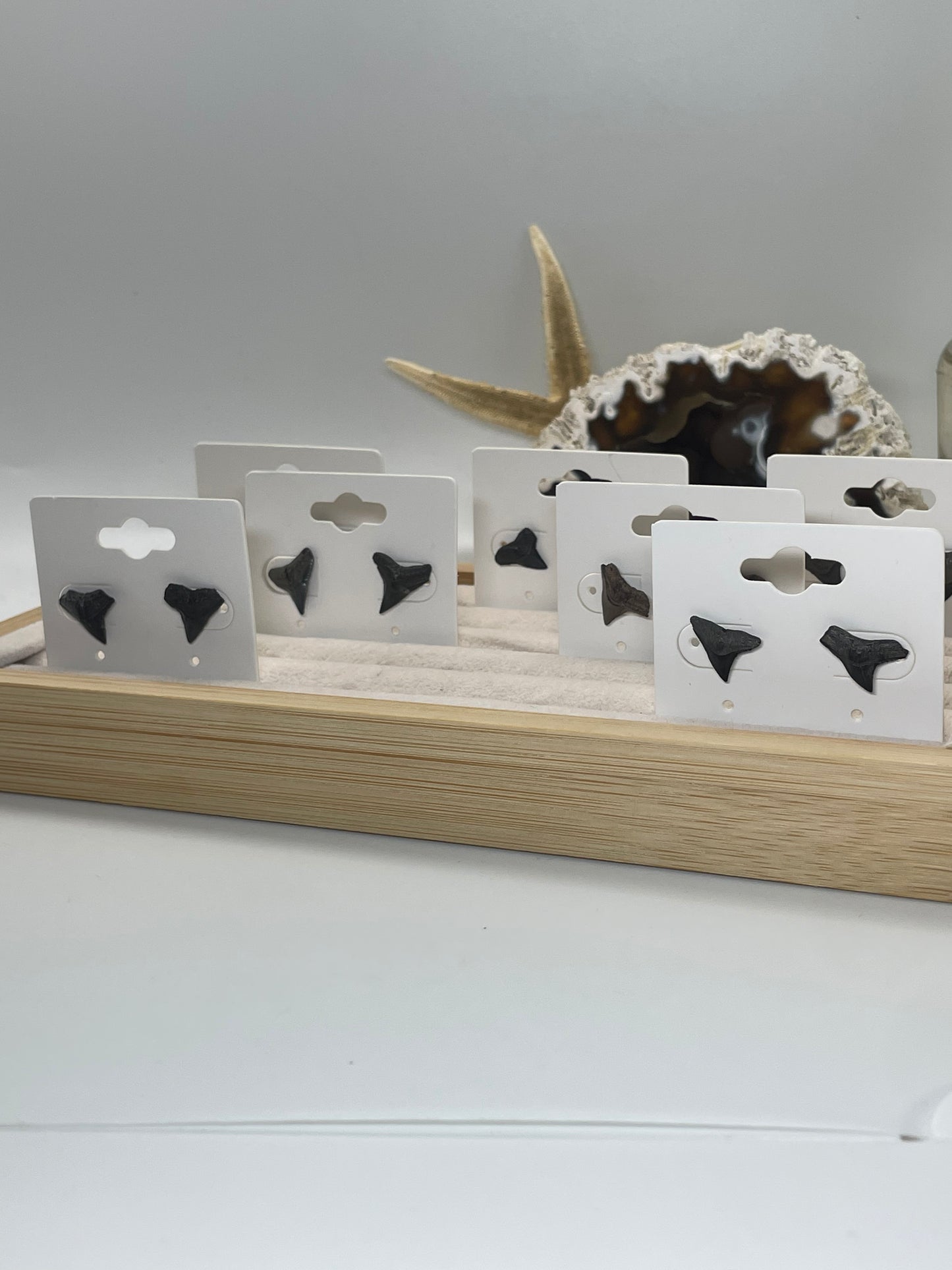 Shark Tooth Stud Earrings