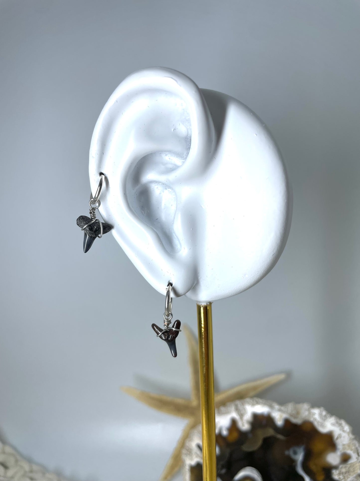 Mini Shark Tooth Cartilage Hoop