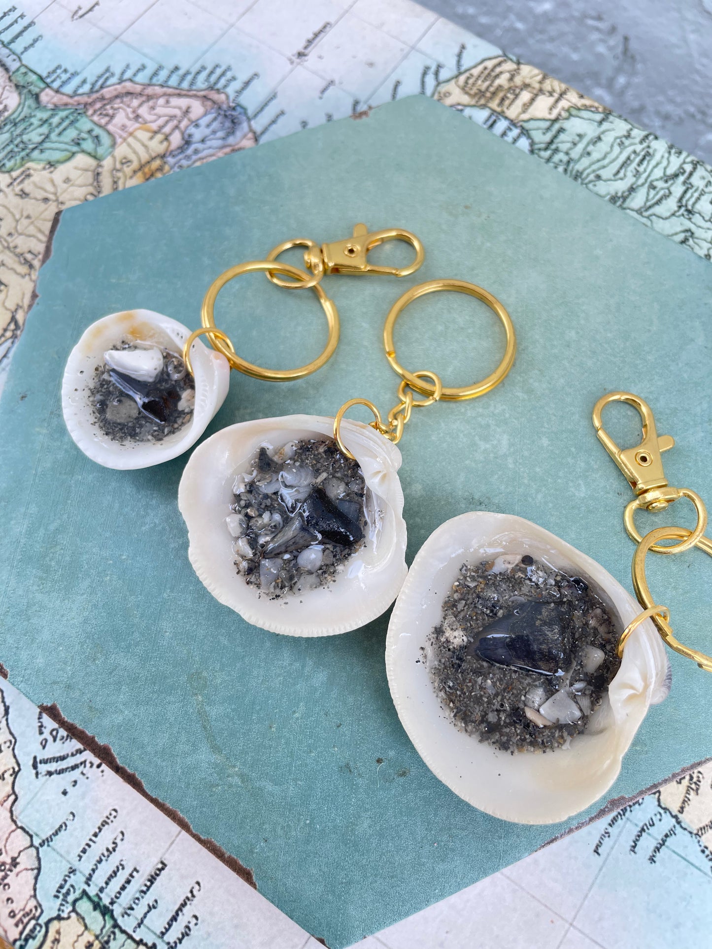 Juno Beach Shark Teeth | Sand & Seachain