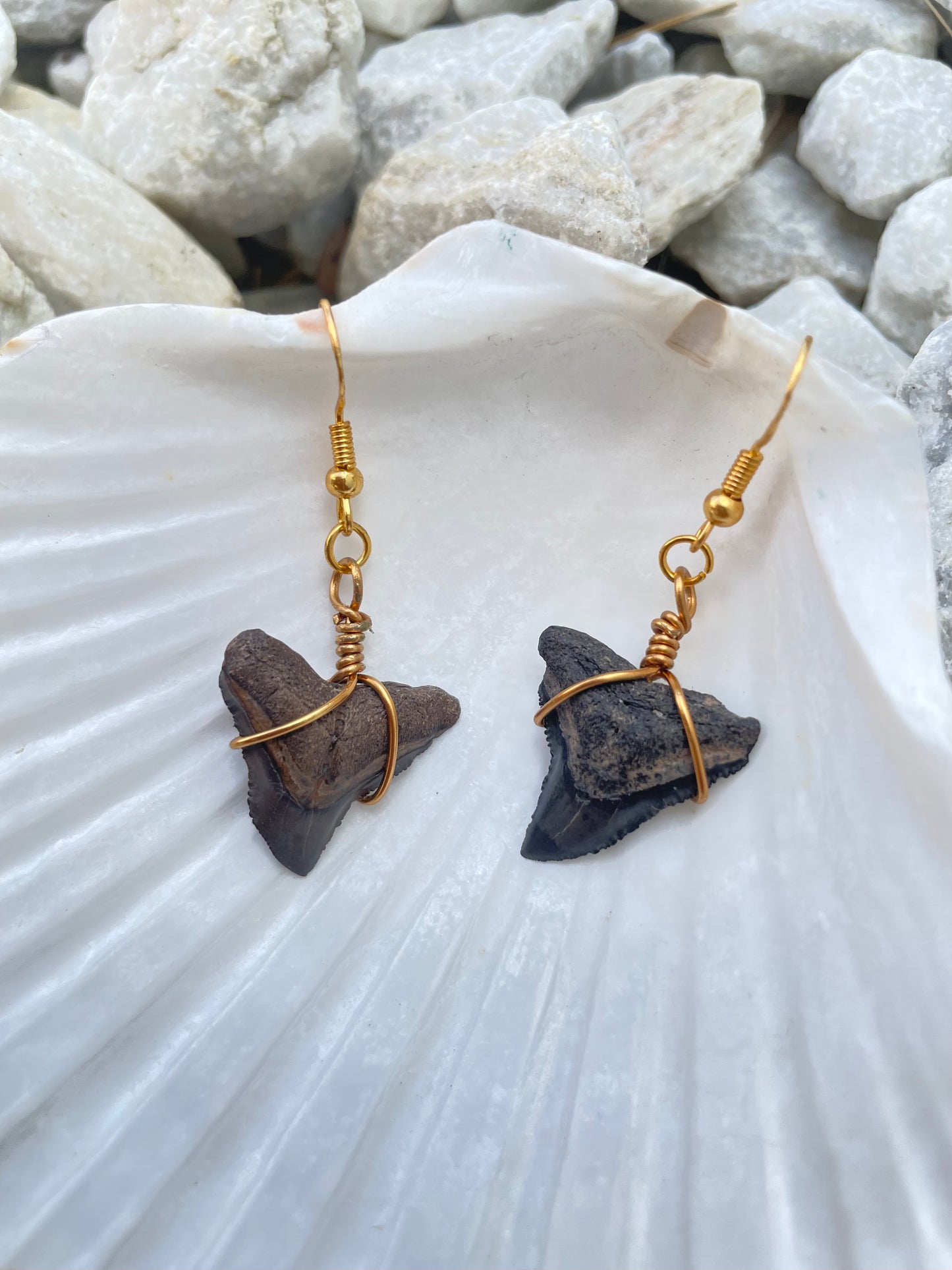 Silky Shark Tooth Earrings