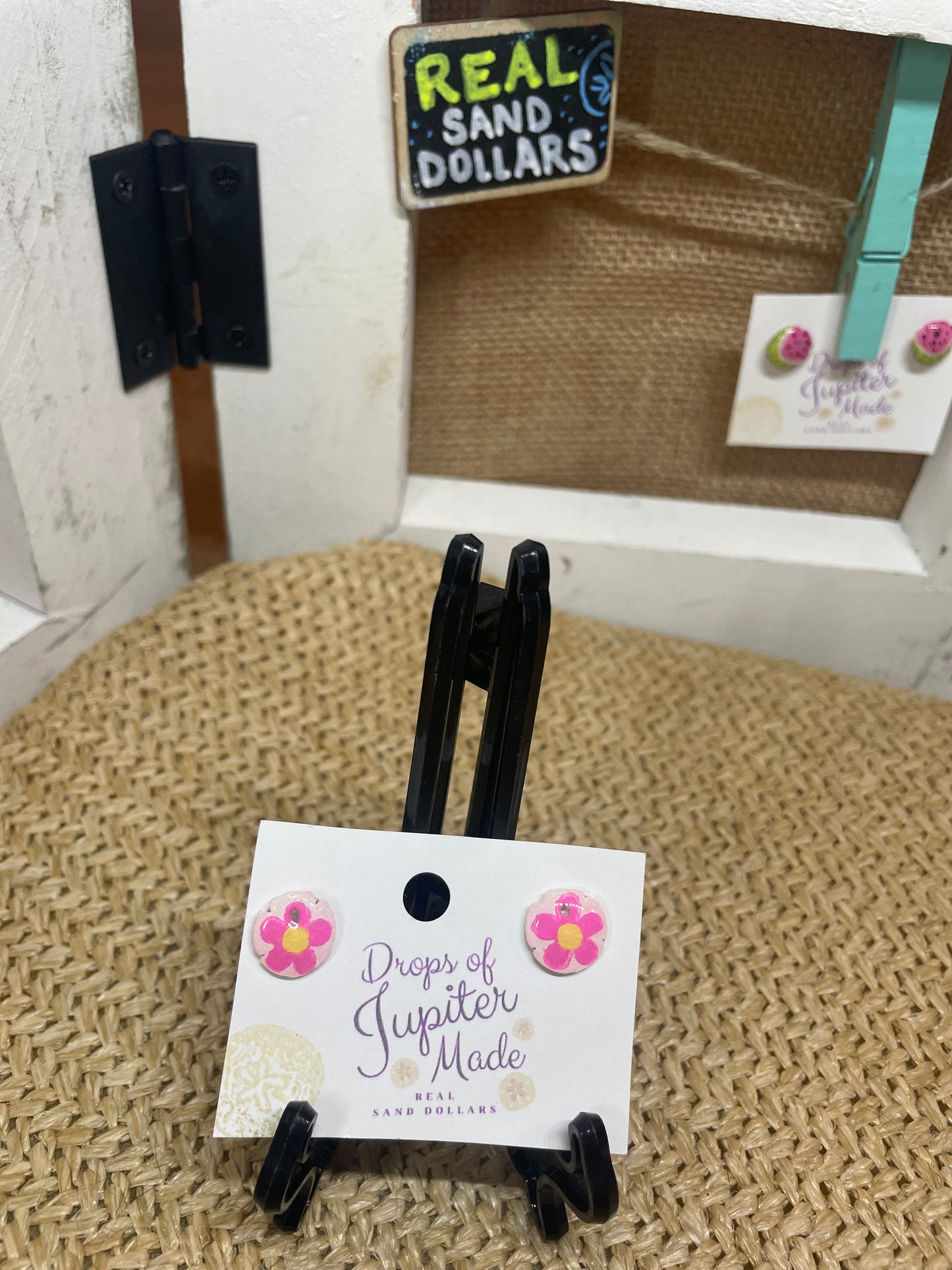 REAL Sand Dollar Stud Earrings | Pink Daisy