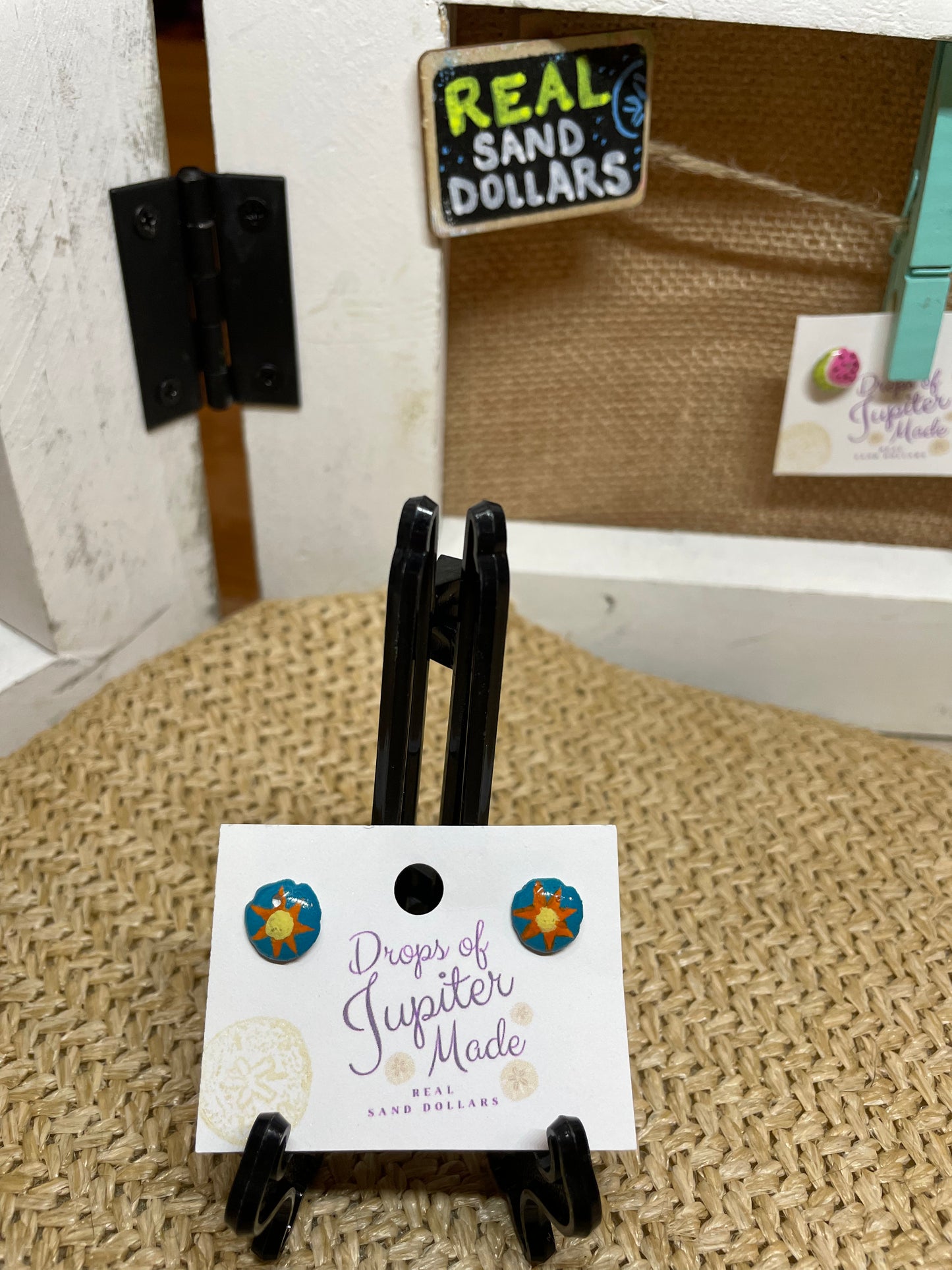 REAL Sand Dollar Stud Earrings | Sunshine