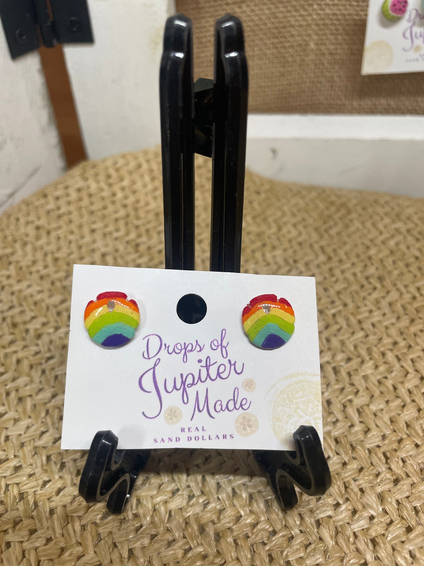 REAL Sand Dollar Stud Earrings | Rainbow