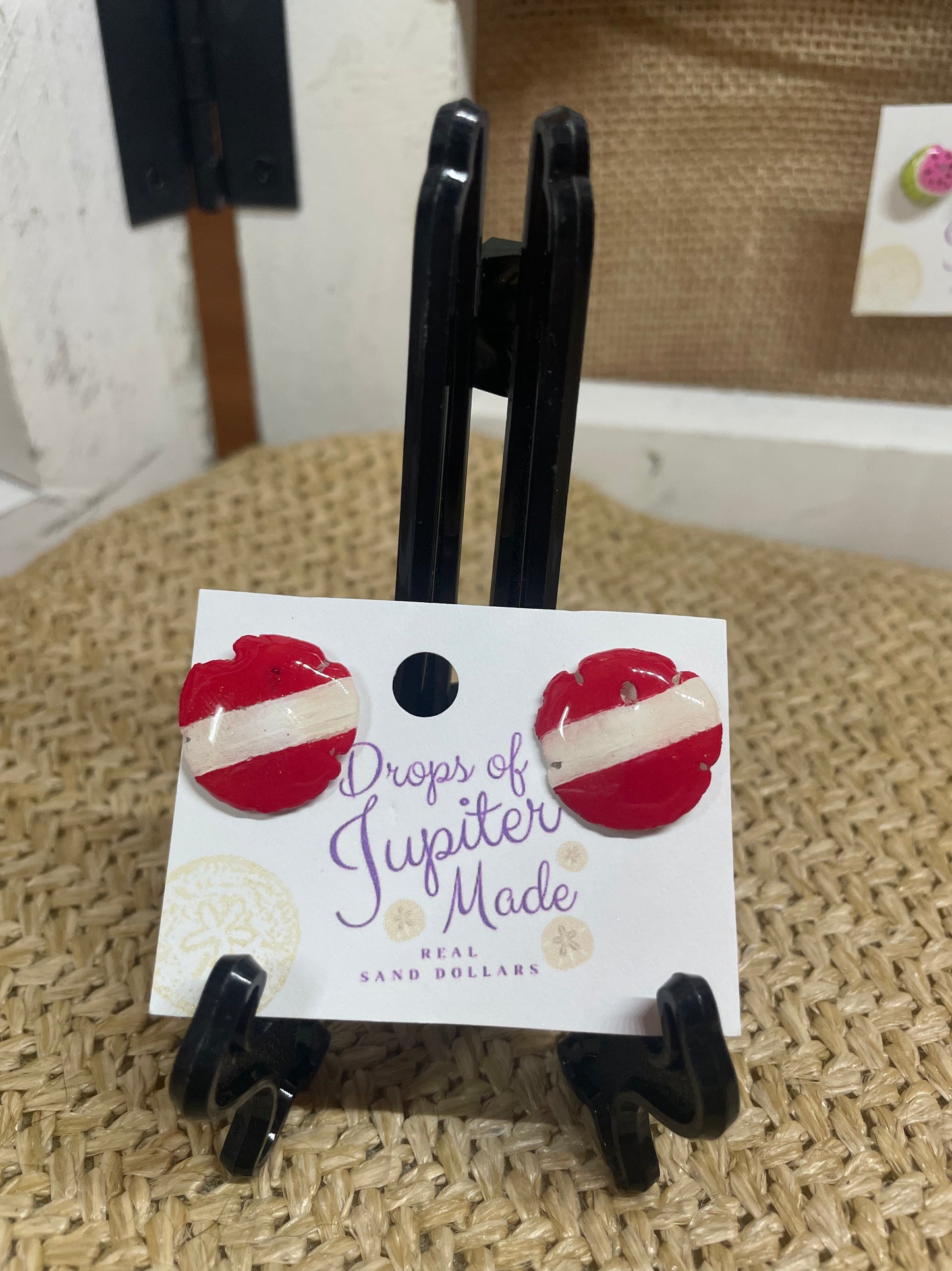 REAL Sand Dollar Stud Earrings | Dive Flag | 2 Size Options