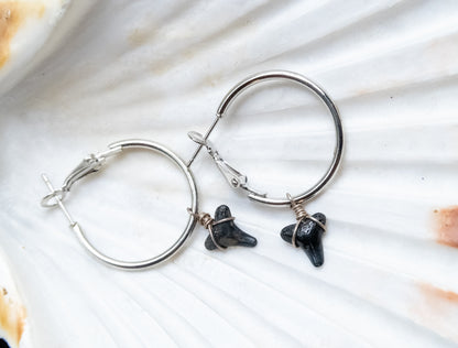 The Marina Grand Shark Tooth Hoop Earring Collection