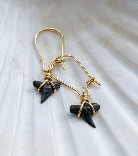 The Lost Girls Shark Tooth Earring Collection