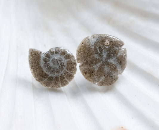 Sandy Dollar Stud Earrings