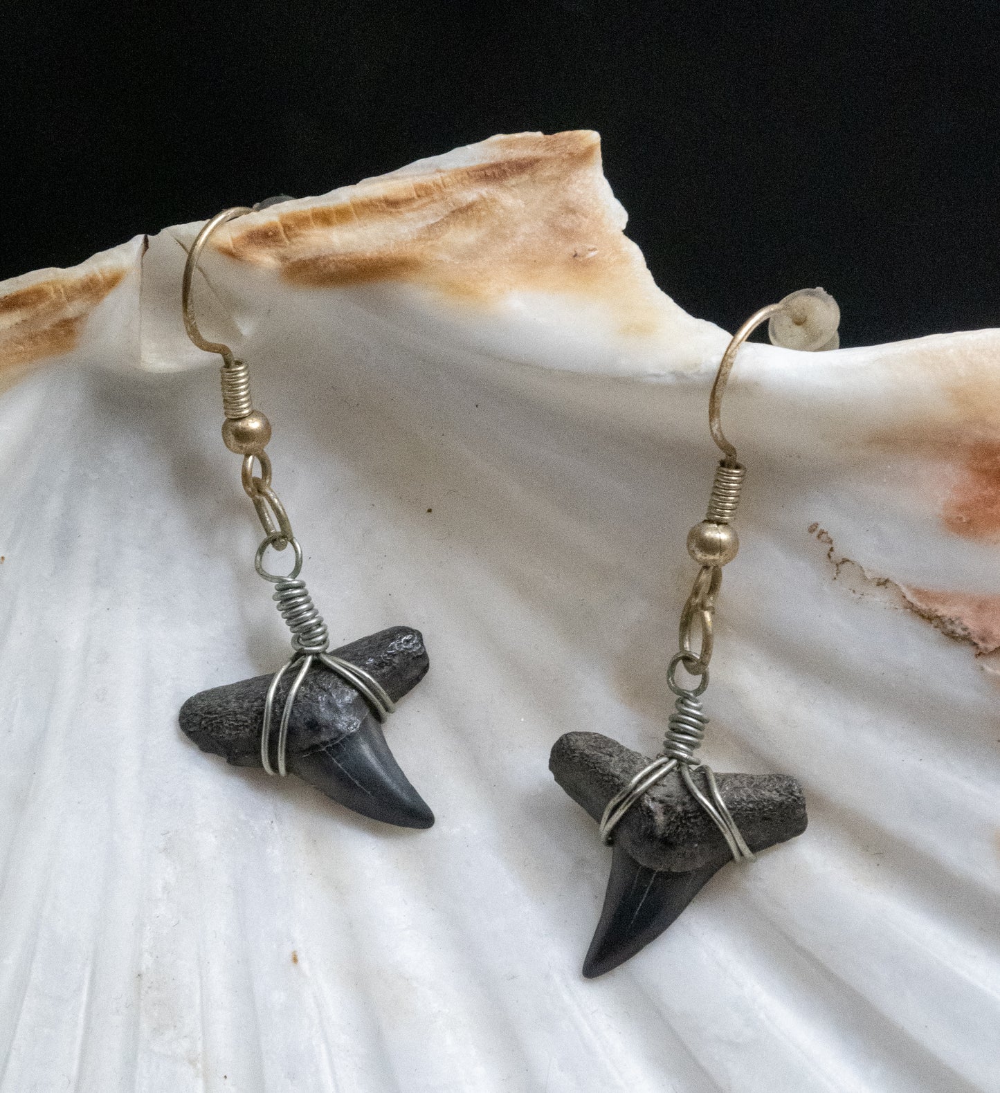 The Darling Shark Tooth Earring Collection