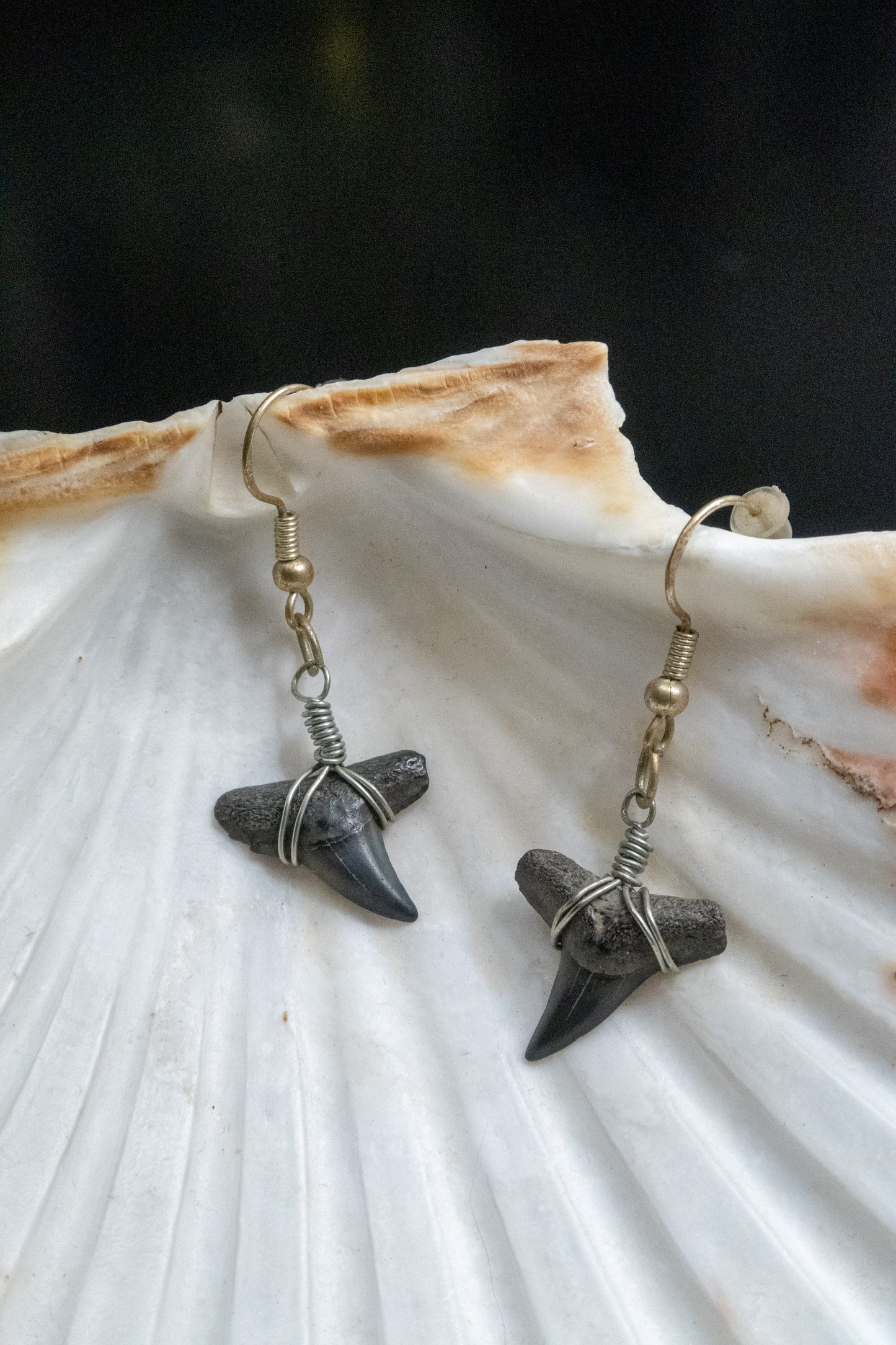 The Darling Shark Tooth Earring Collection