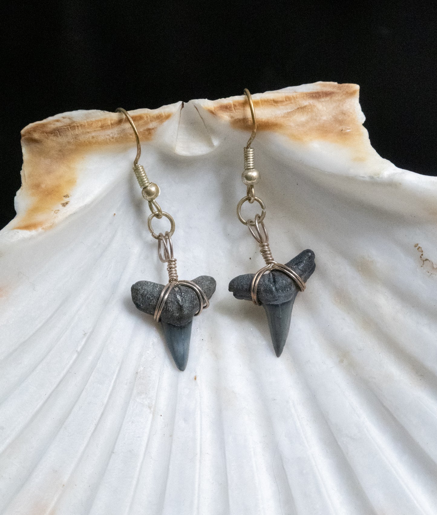 The Darling Shark Tooth Earring Collection