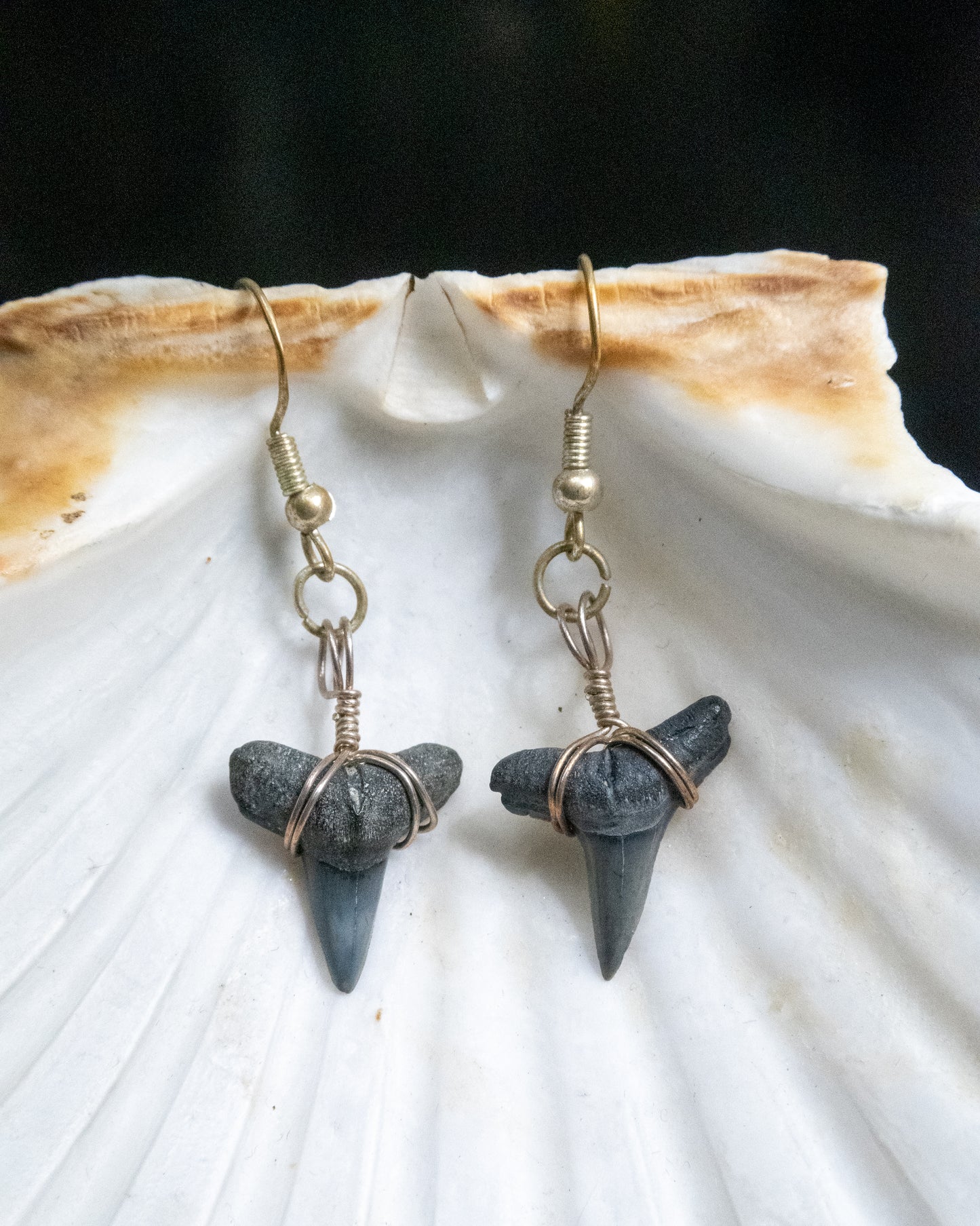 The Darling Shark Tooth Earring Collection