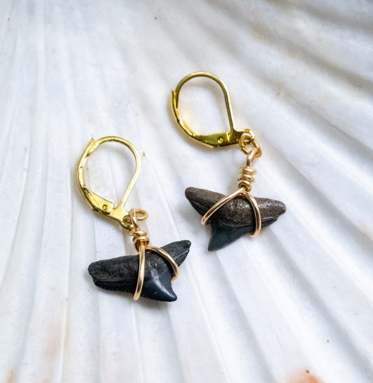 The Calypso Shark Tooth Clasp Earring